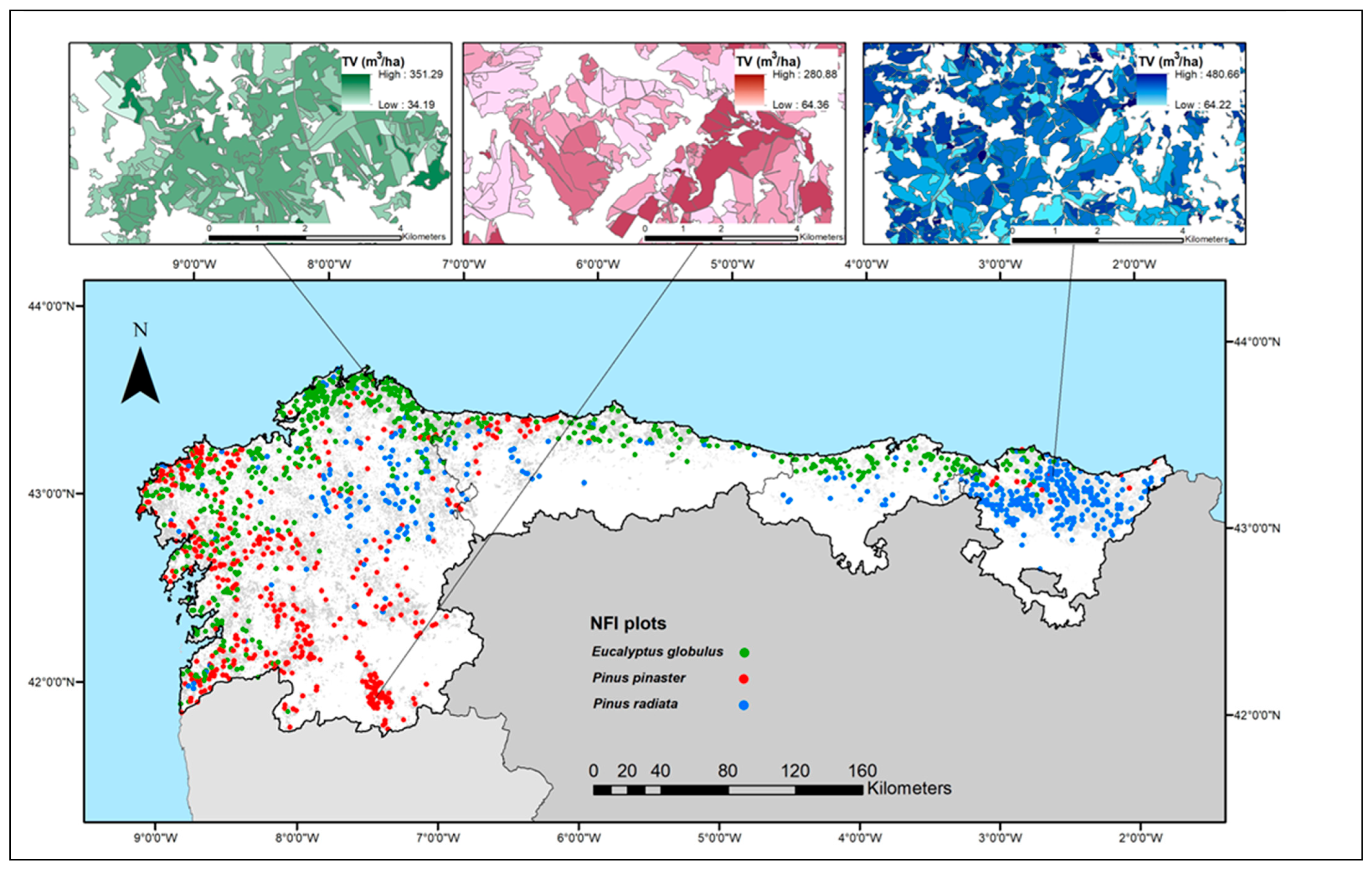 Forests 15 00099 g005