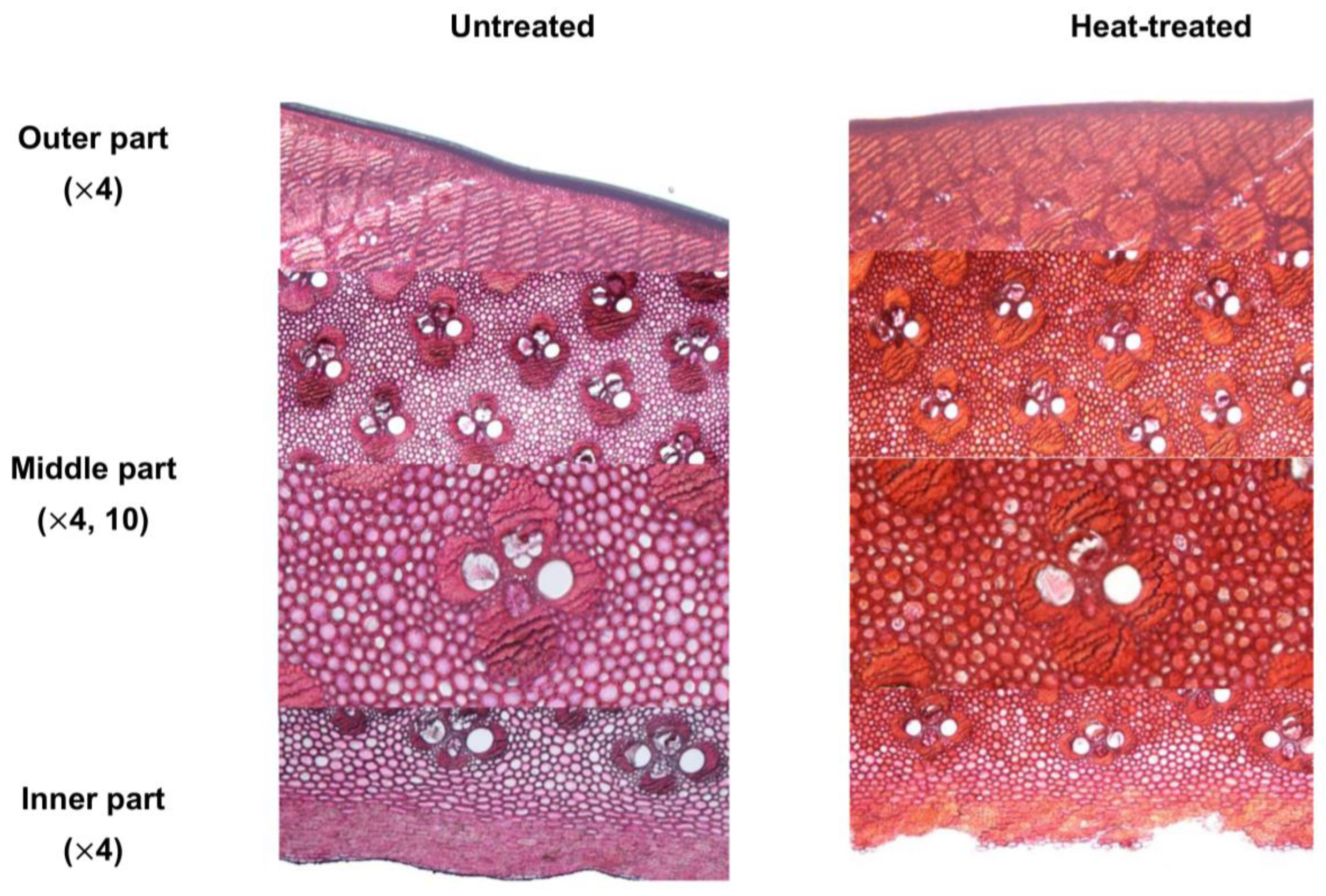 Forests 15 00101 g003