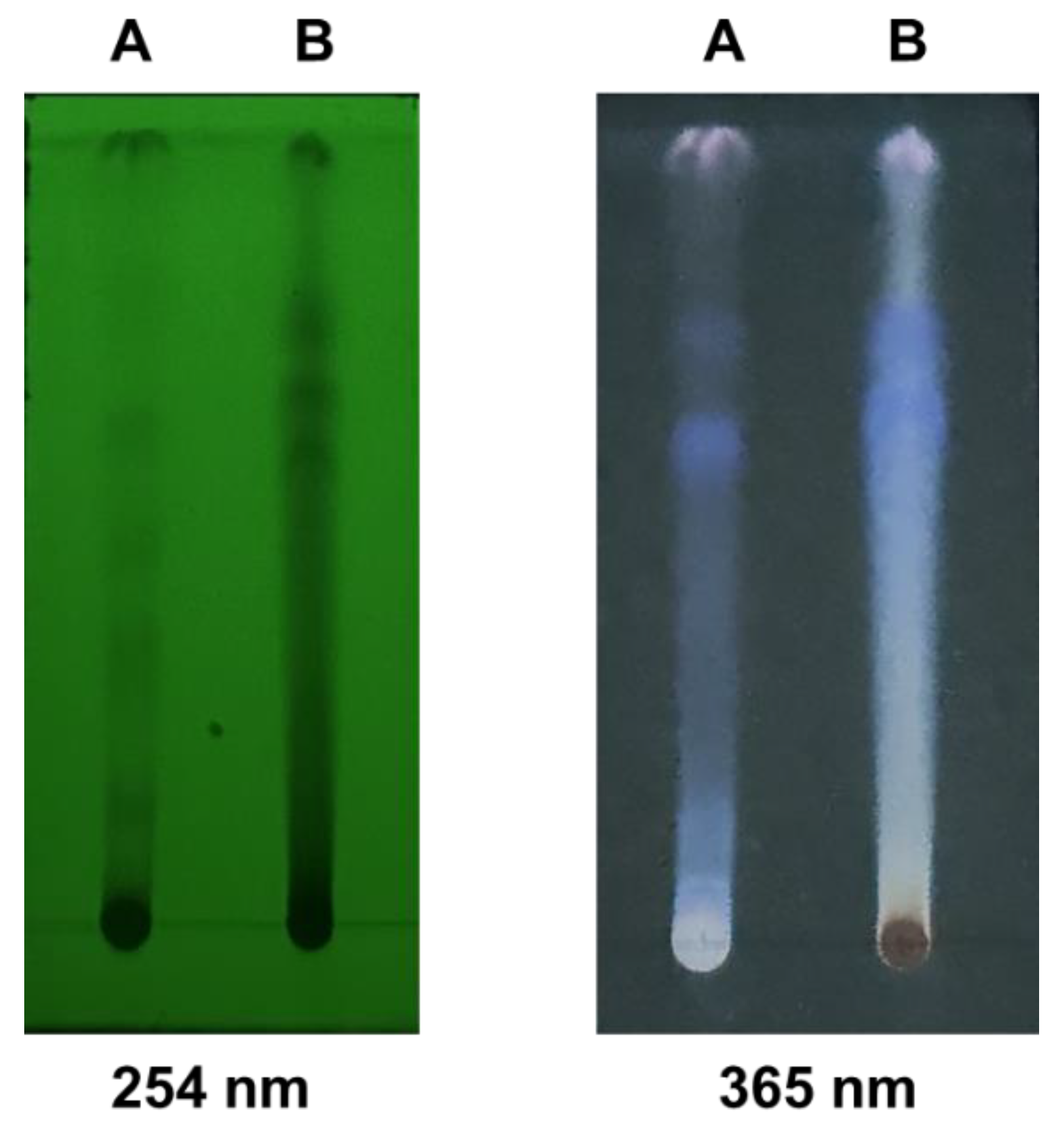 Forests 15 00101 g009