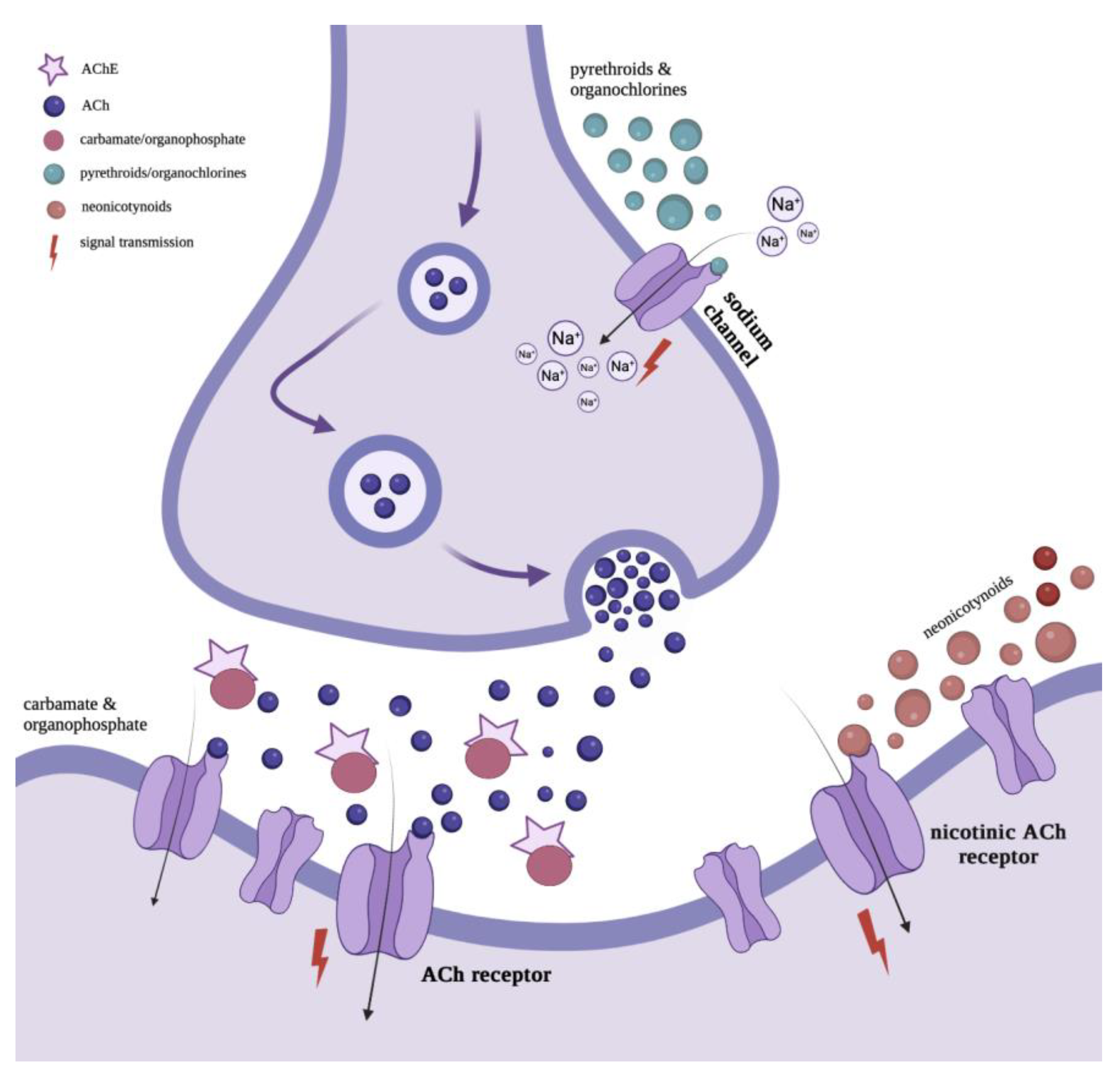 Forests 15 00105 g004
