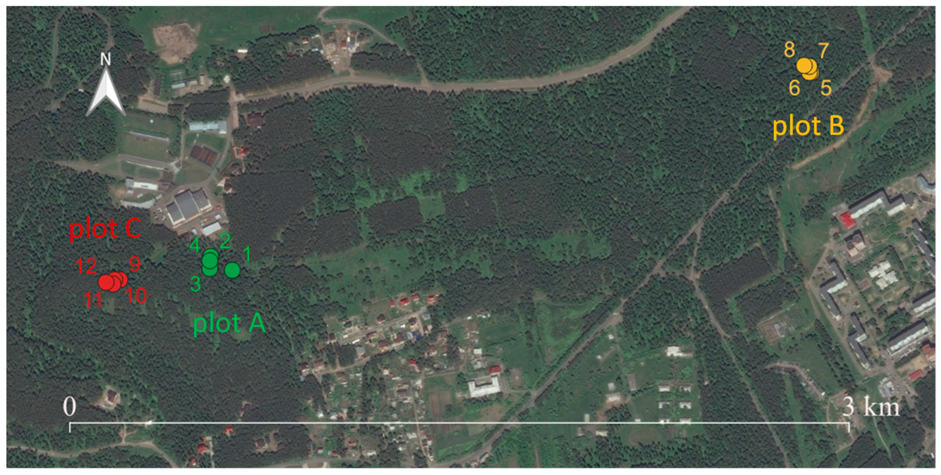 Forests 15 00107 g001