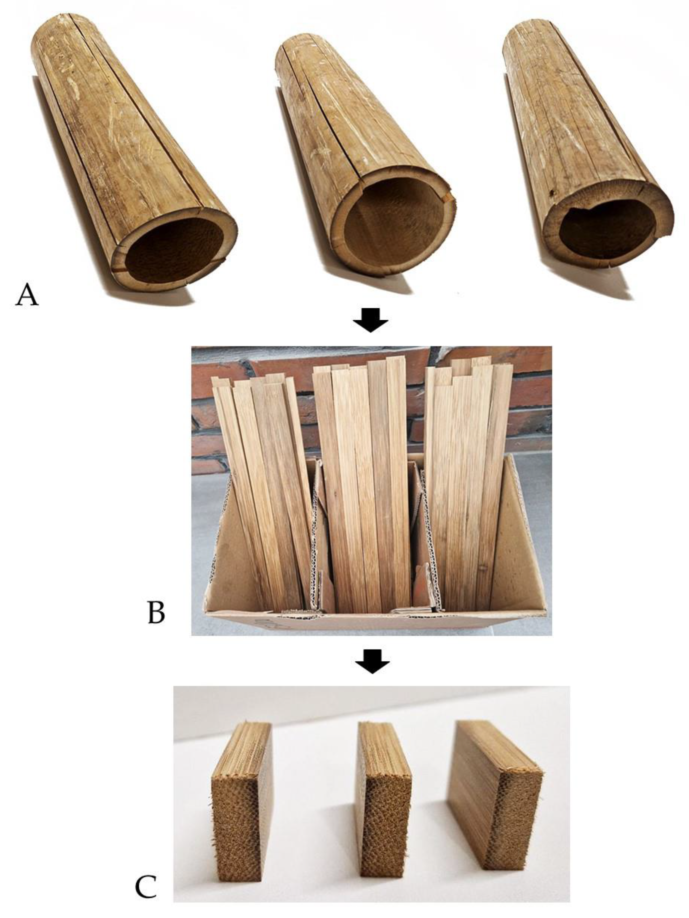 Forests 15 00118 g001