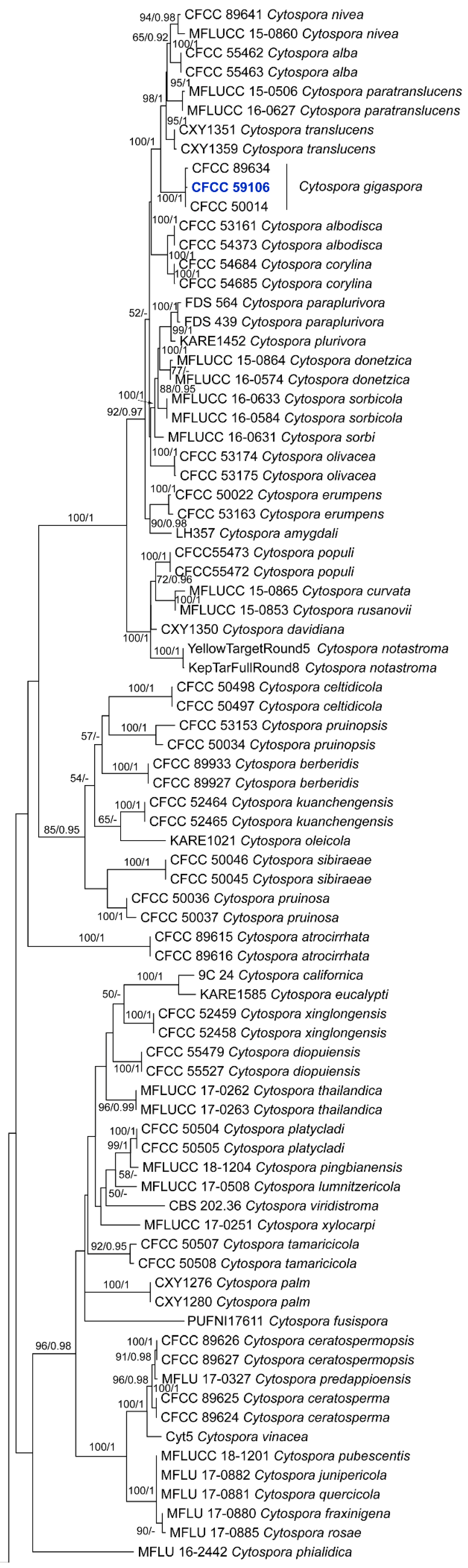 Forests 15 00121 g001a