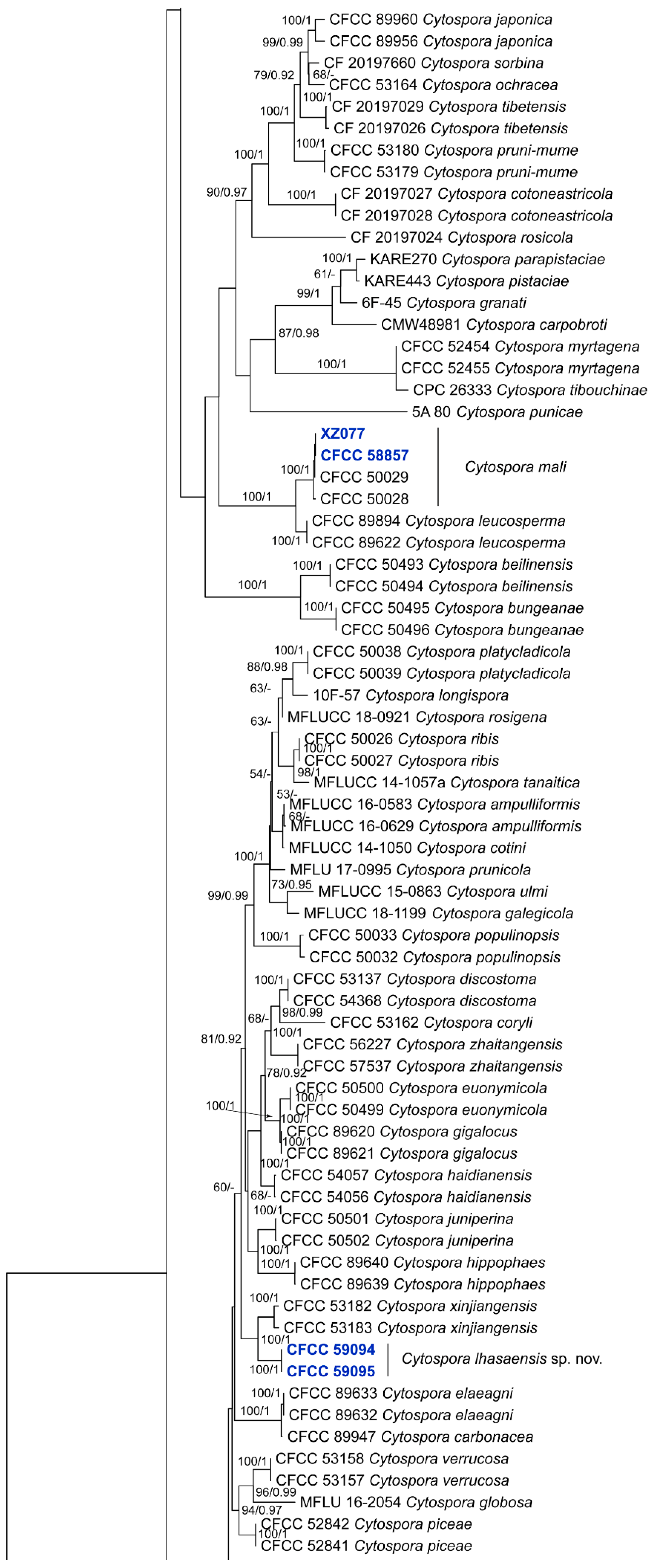 Forests 15 00121 g001b