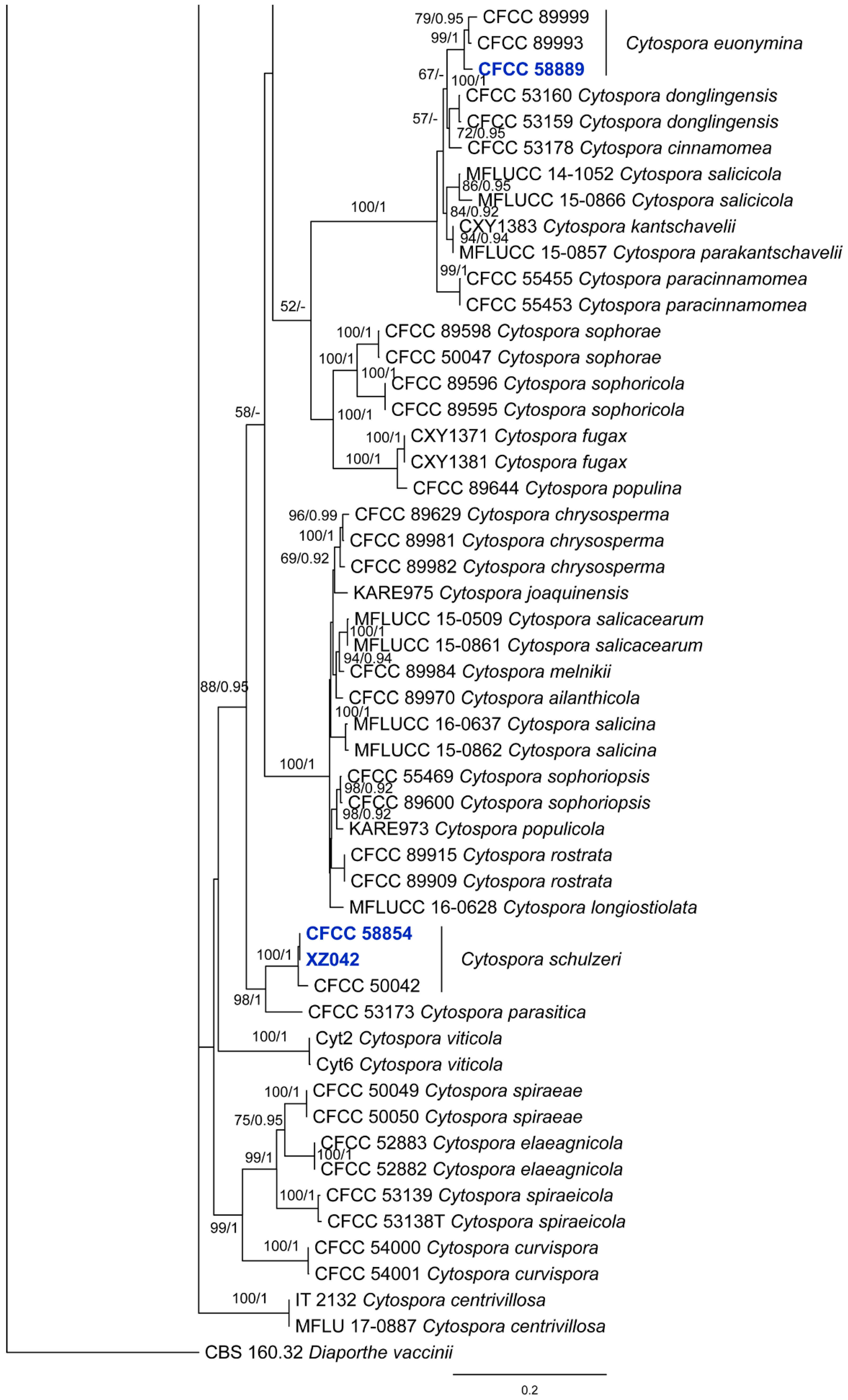 Forests 15 00121 g001c
