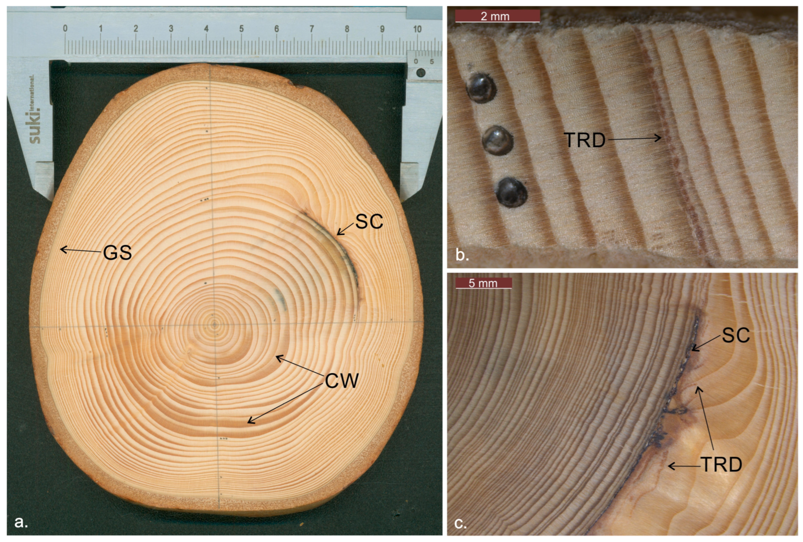 Forests 15 00122 g002