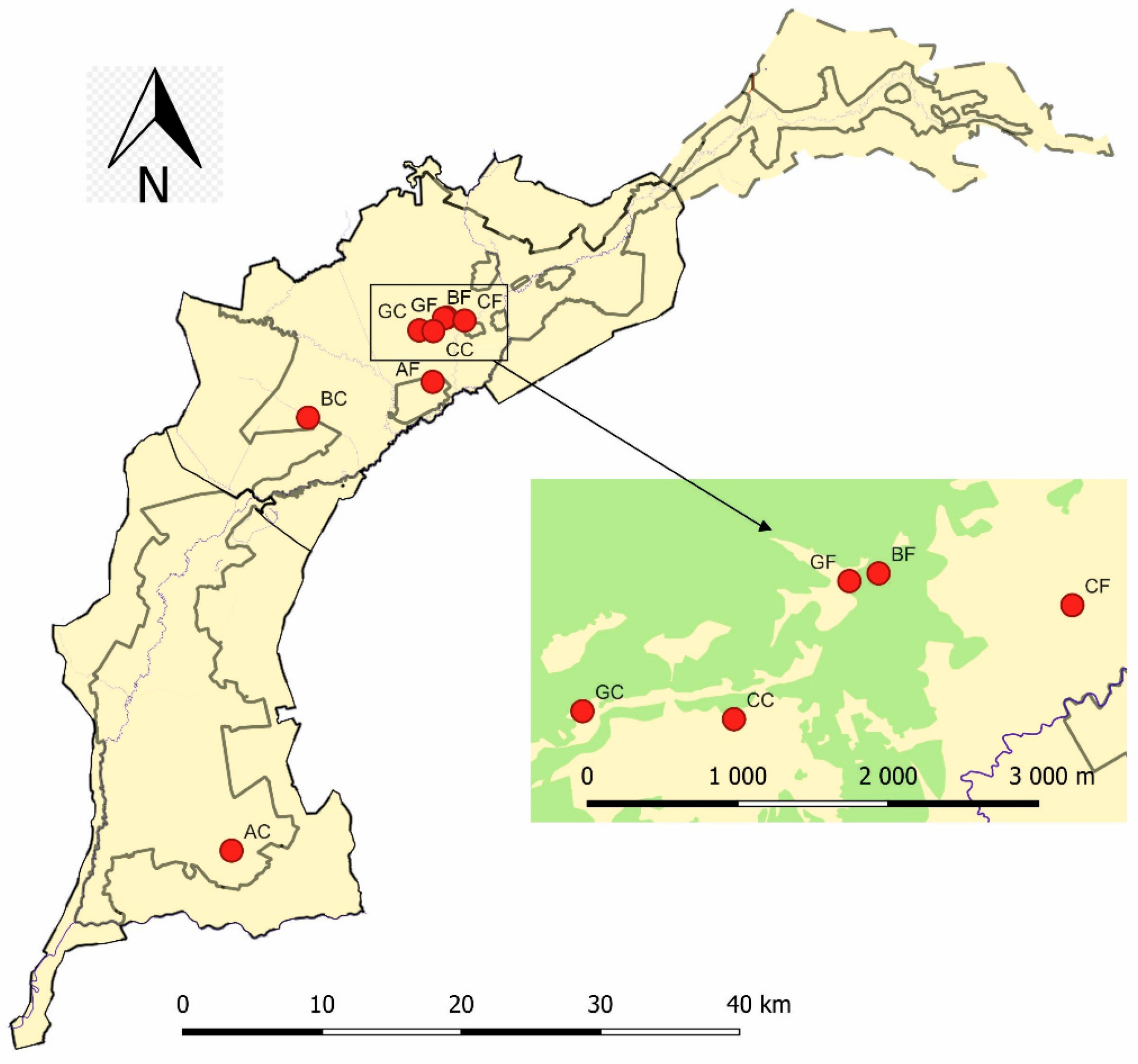Forests 15 00123 g001 Forests 15 00123 g001