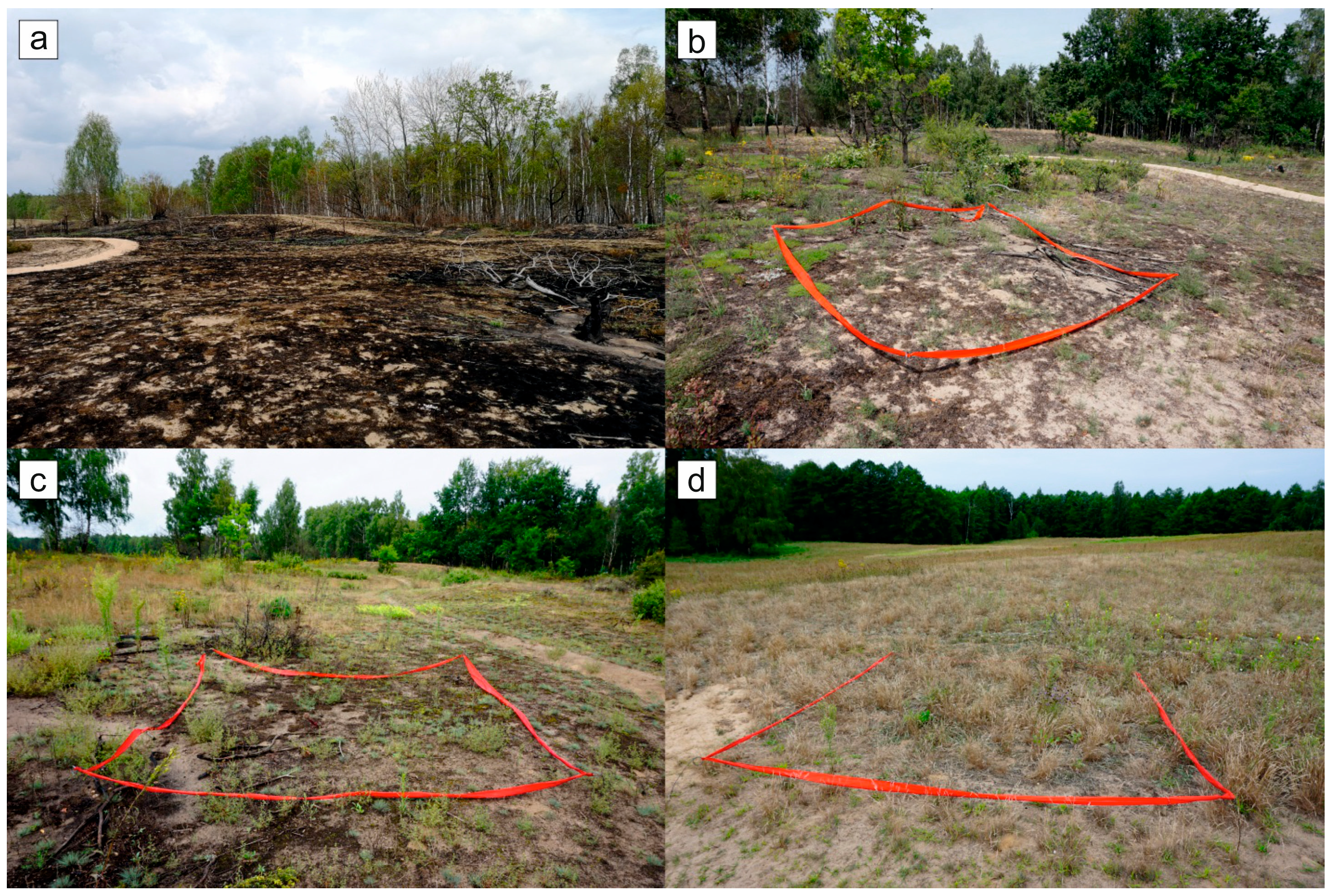 Forests 15 00123 g002 Forests 15 00123 g002