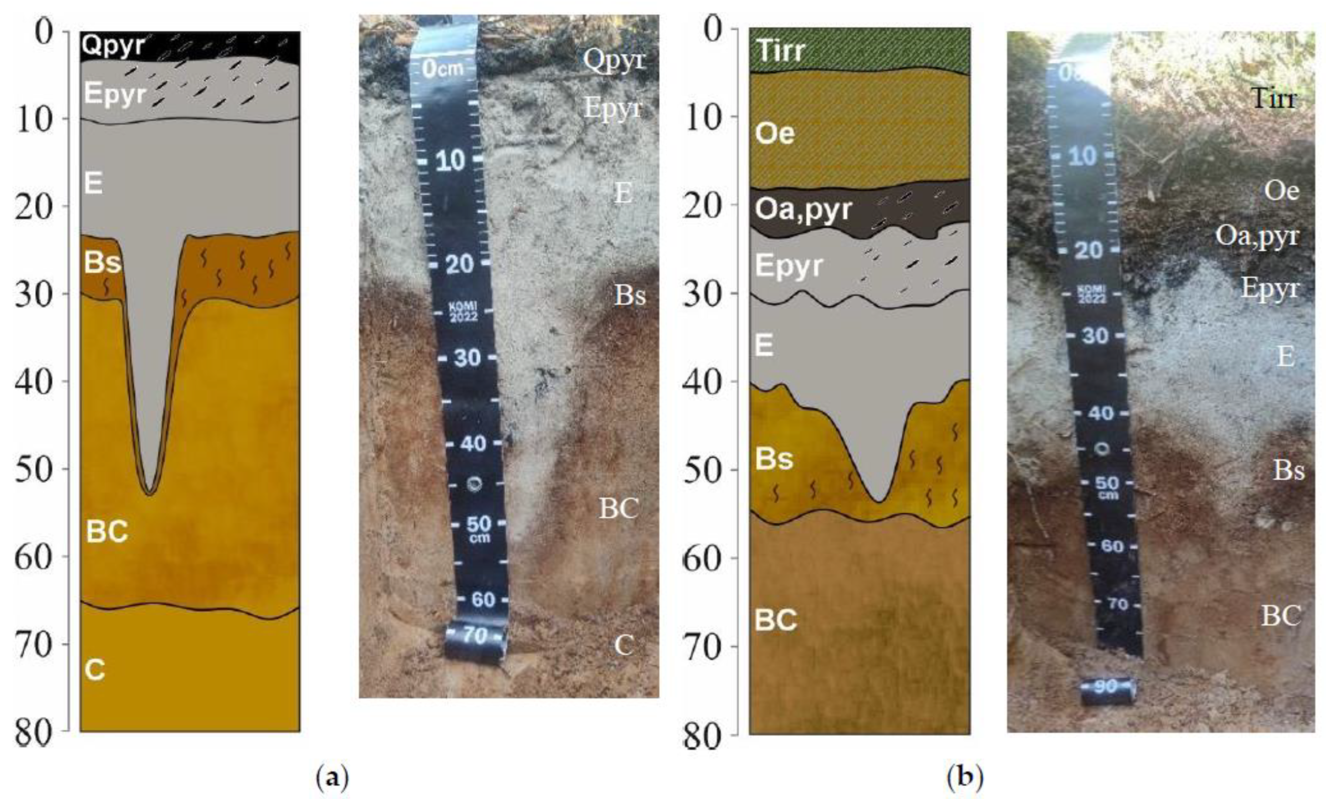 Forests 15 00145 g003