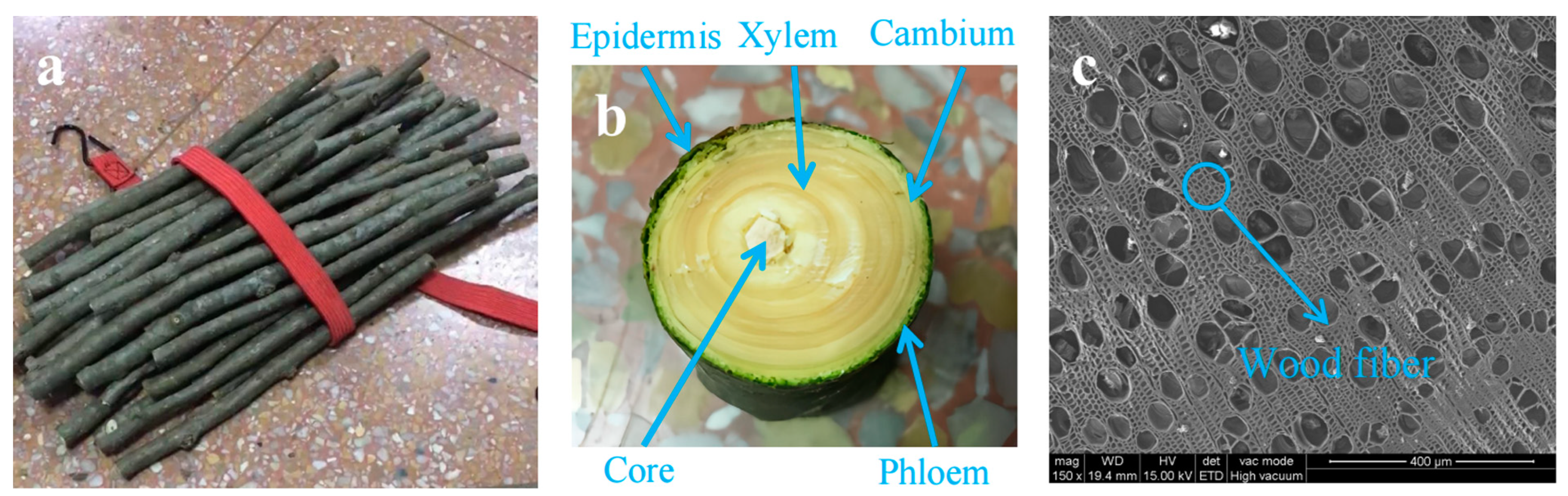 Forests 15 00146 g004