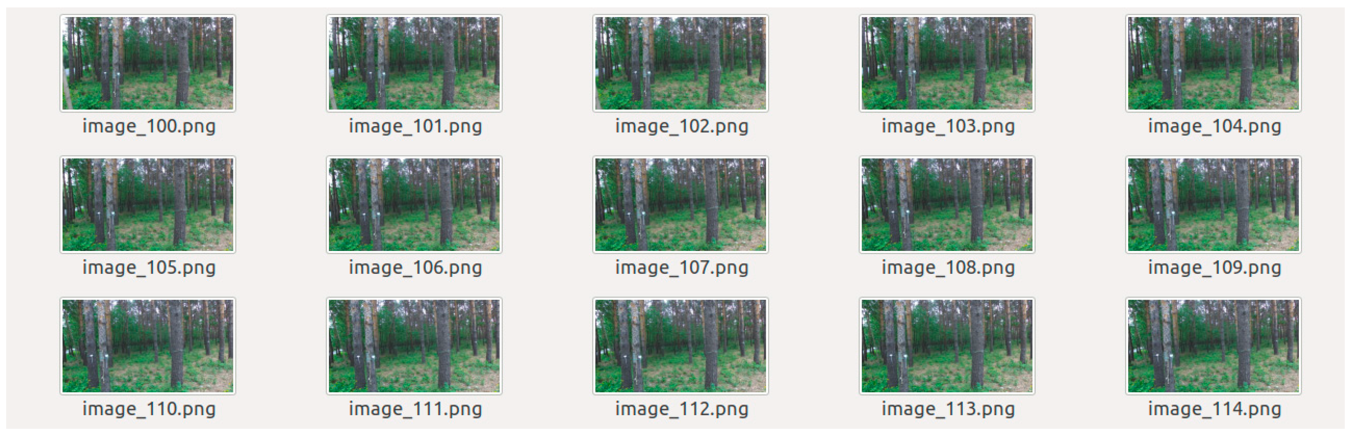 Forests 15 00147 g004