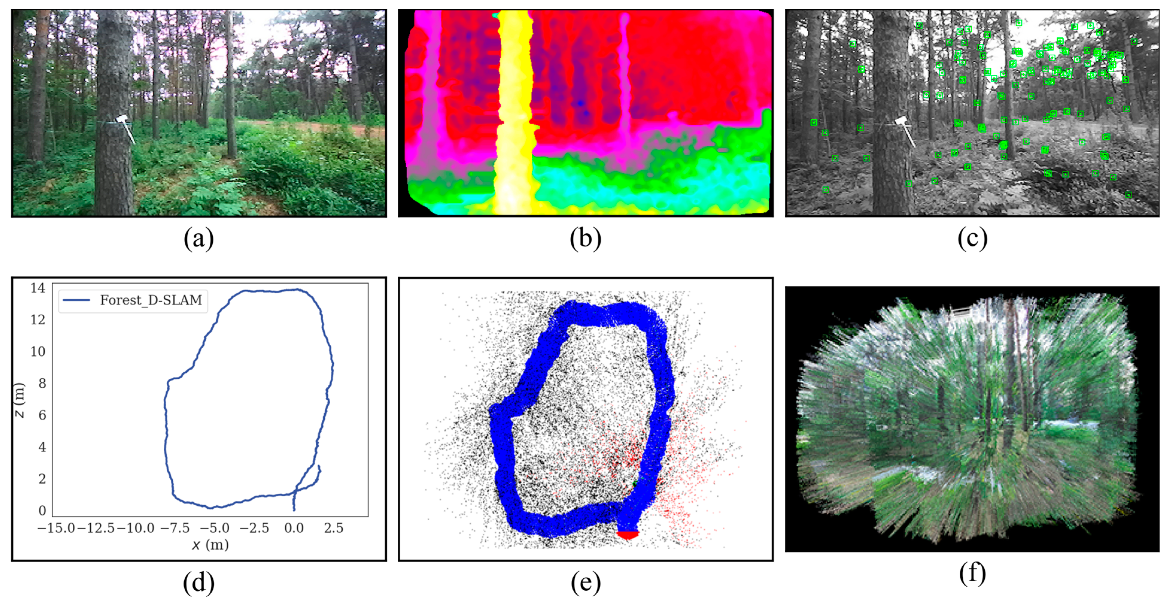 Forests 15 00147 g015