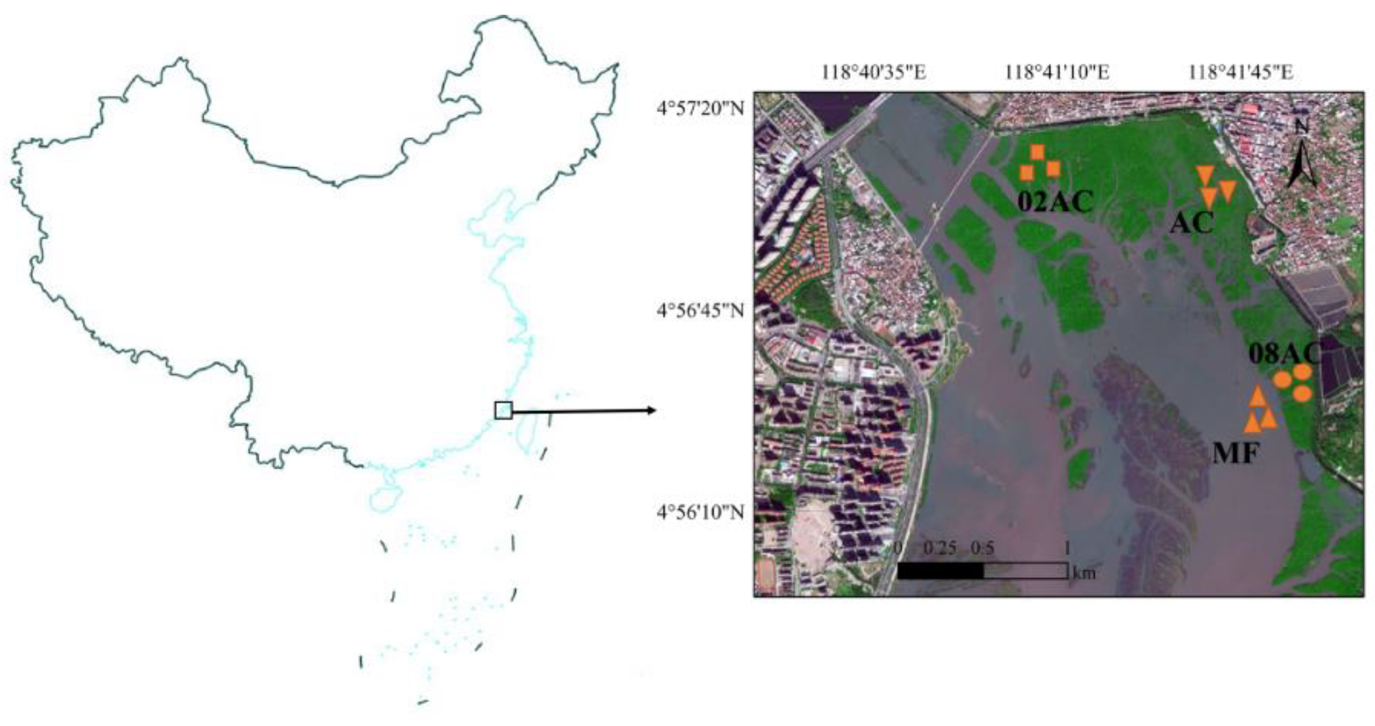 Forests 15 00149 g001