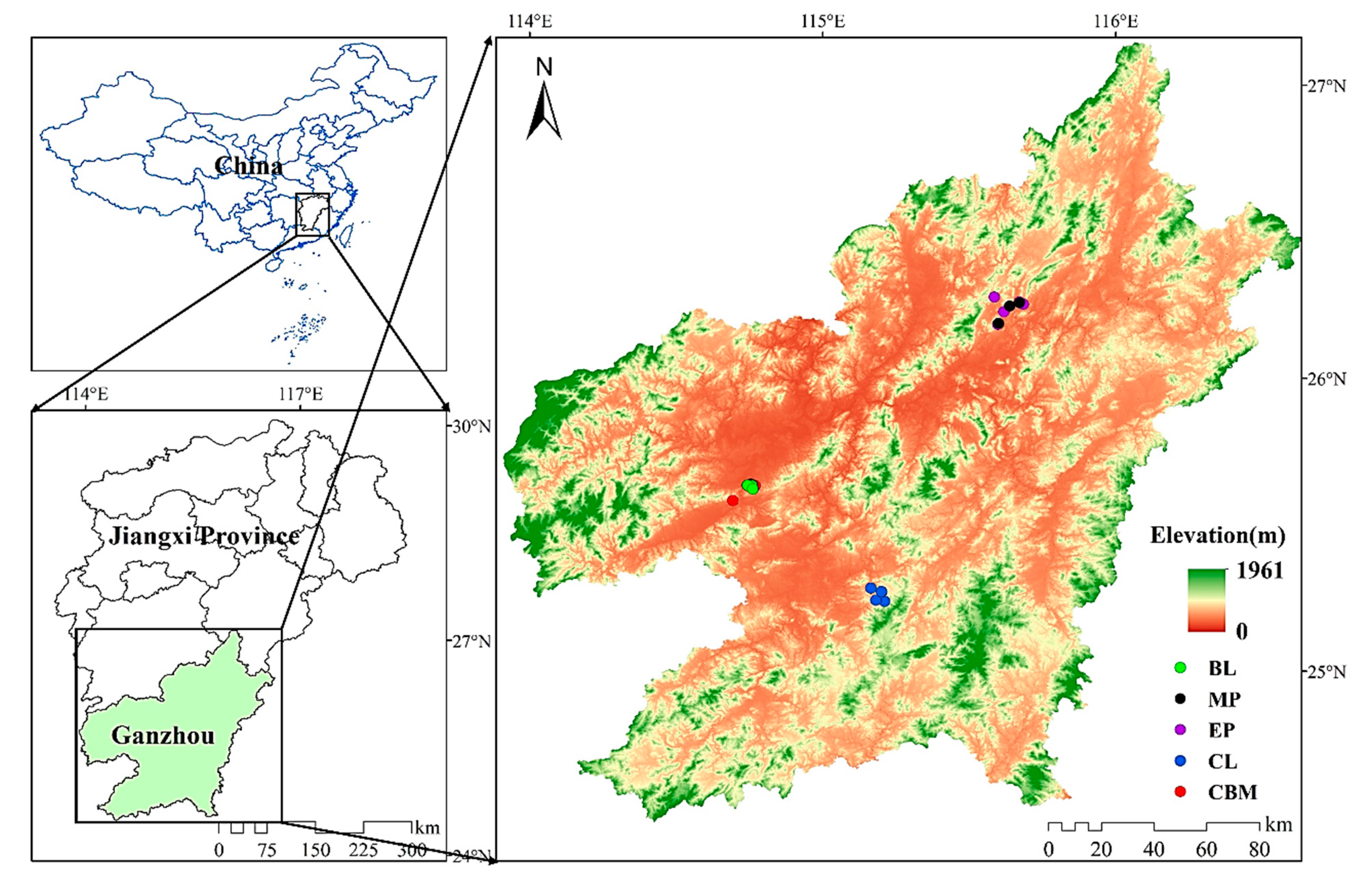 Forests 15 00155 g001
