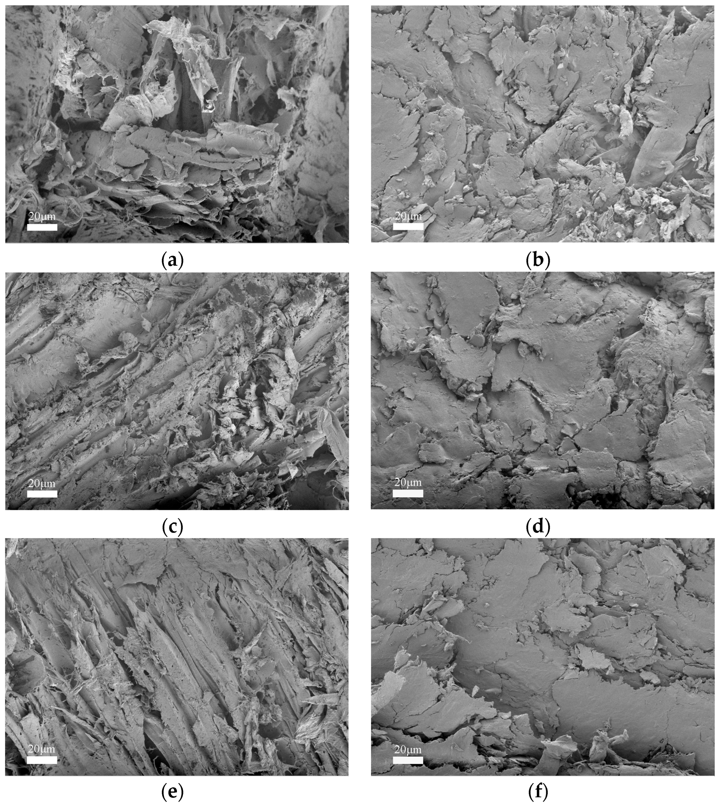 Forests 15 00156 g003