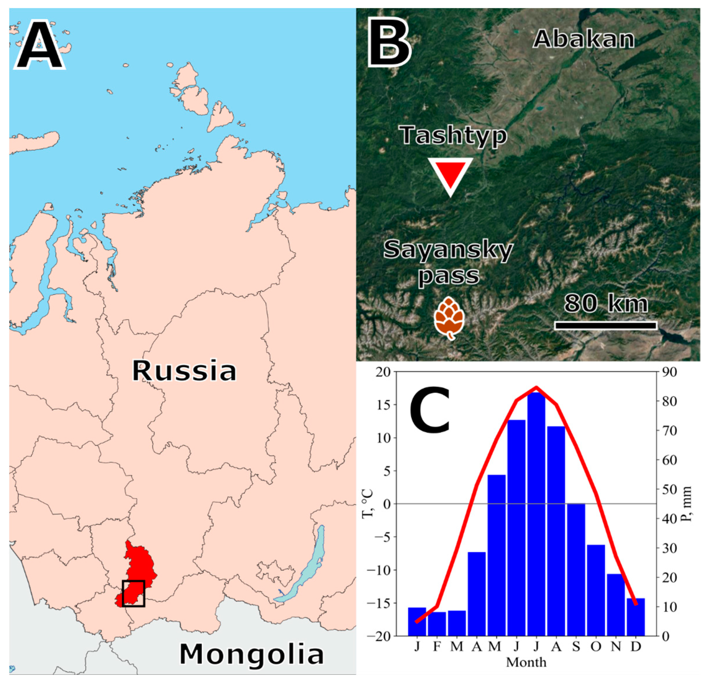 Forests 15 00167 g001
