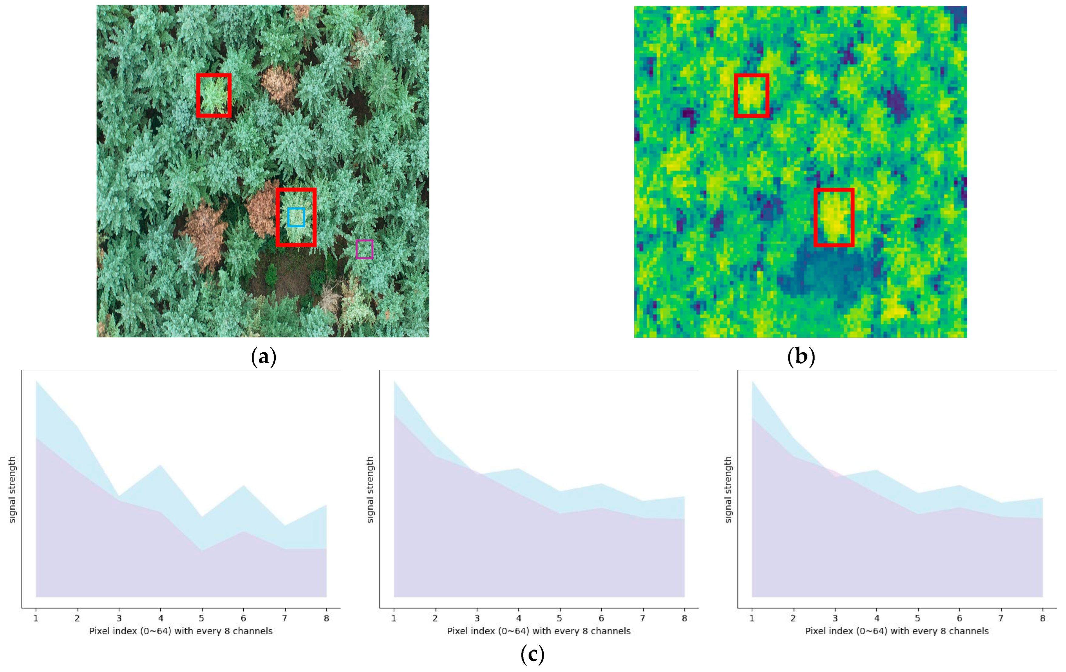 Forests 15 00171 g002 Forests 15 00171 g002