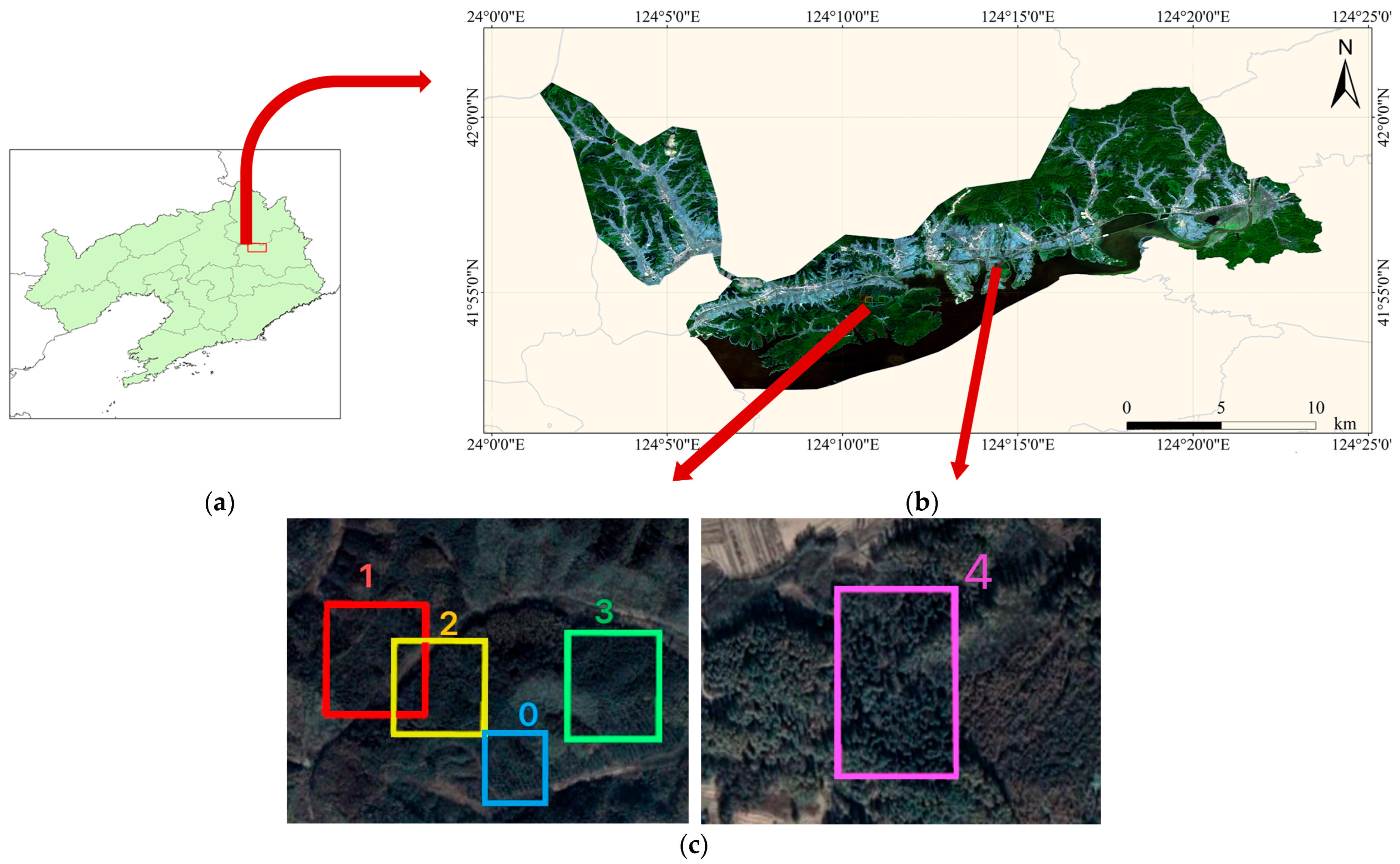 Forests 15 00171 g003 Forests 15 00171 g003
