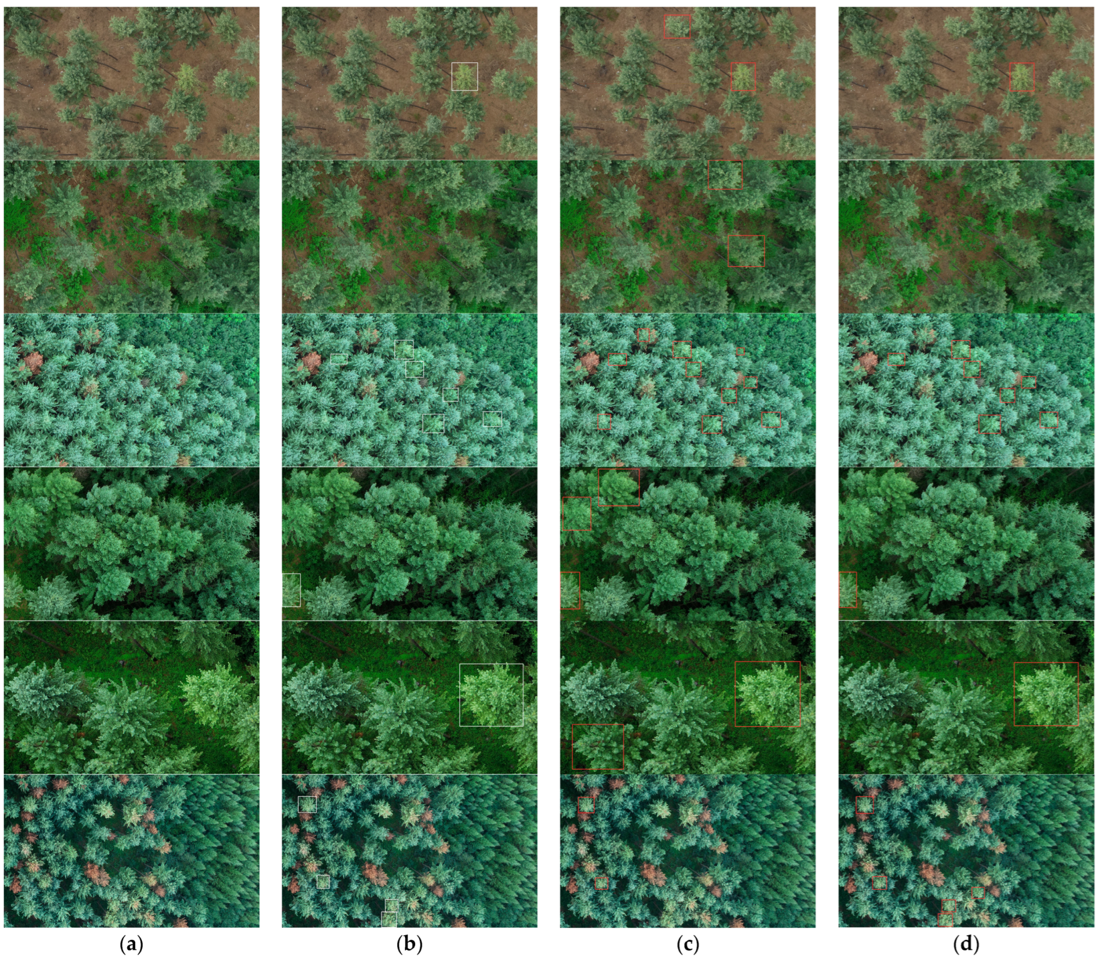 Forests 15 00171 g009 Forests 15 00171 g009