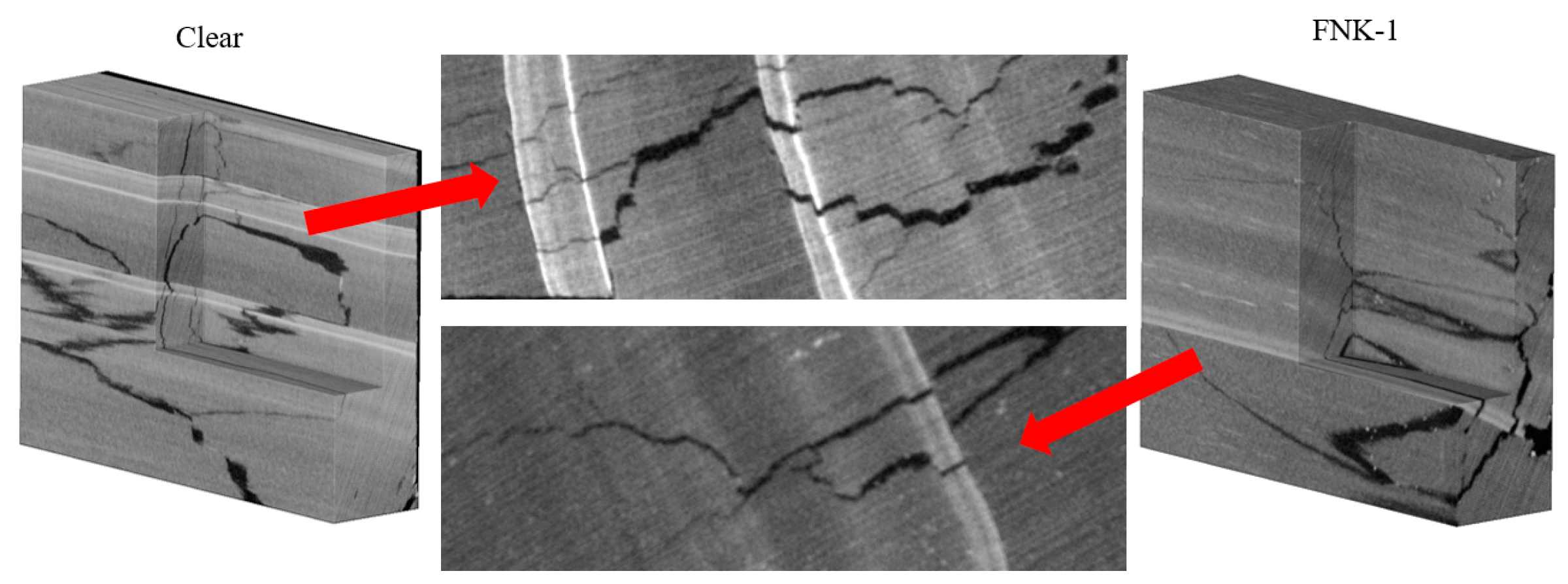 Forests 15 00174 g008