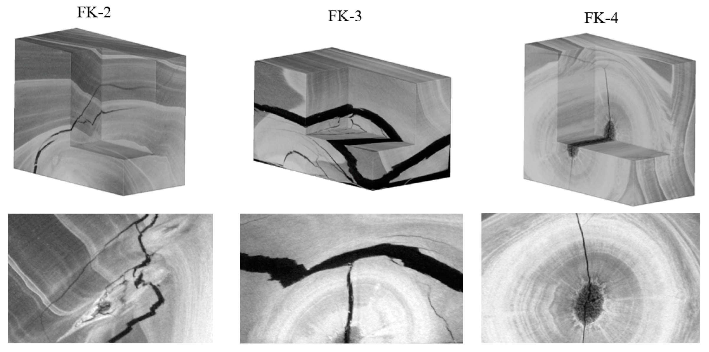 Forests 15 00174 g009