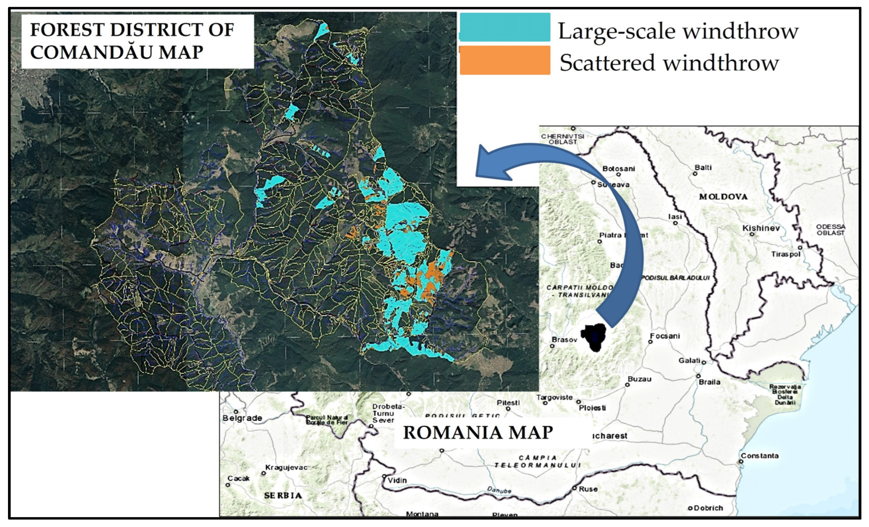 Forests 15 00176 g001