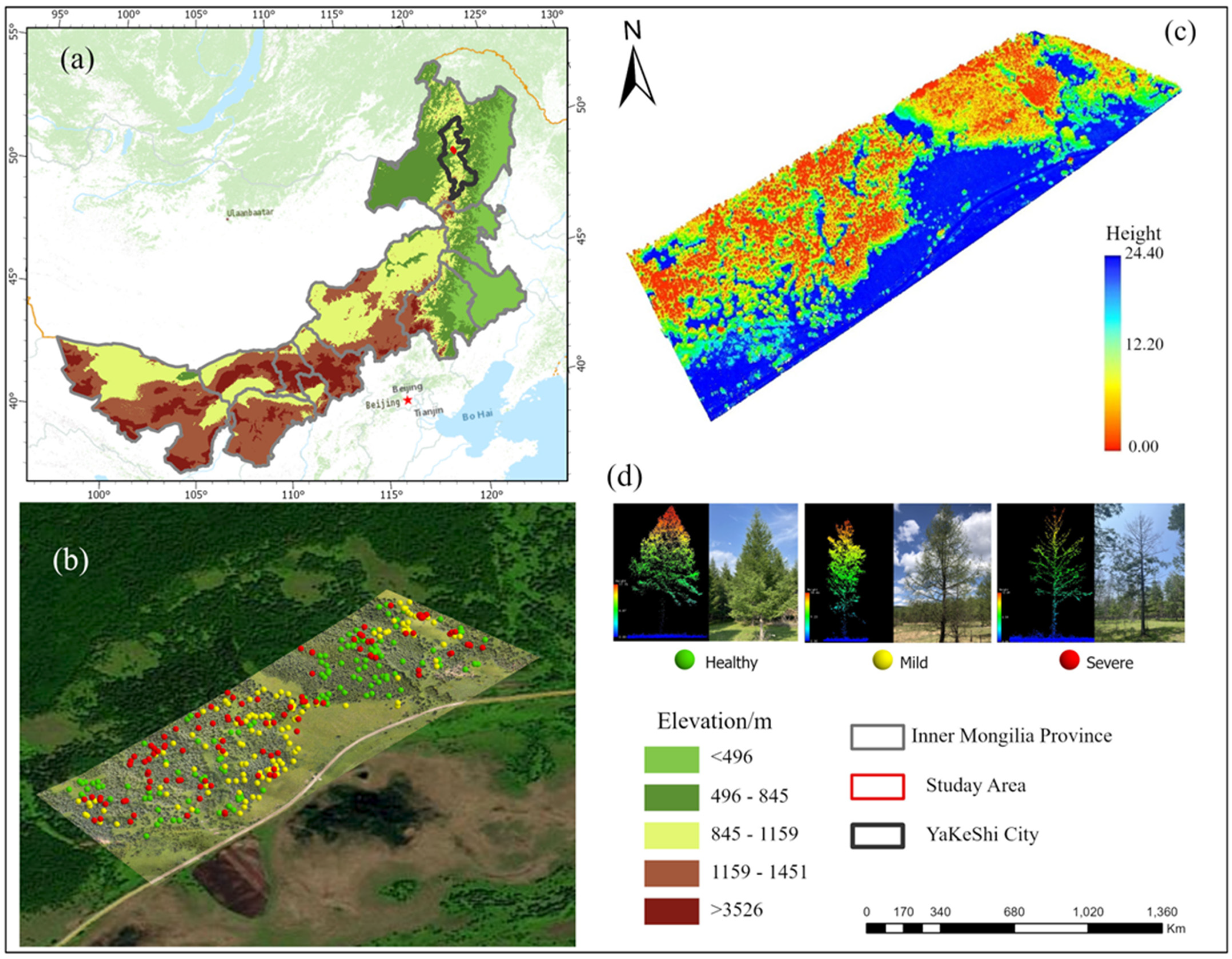 Forests 15 00191 g001 Forests 15 00191 g001