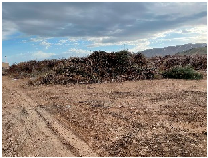 Forests 15 00192 i001