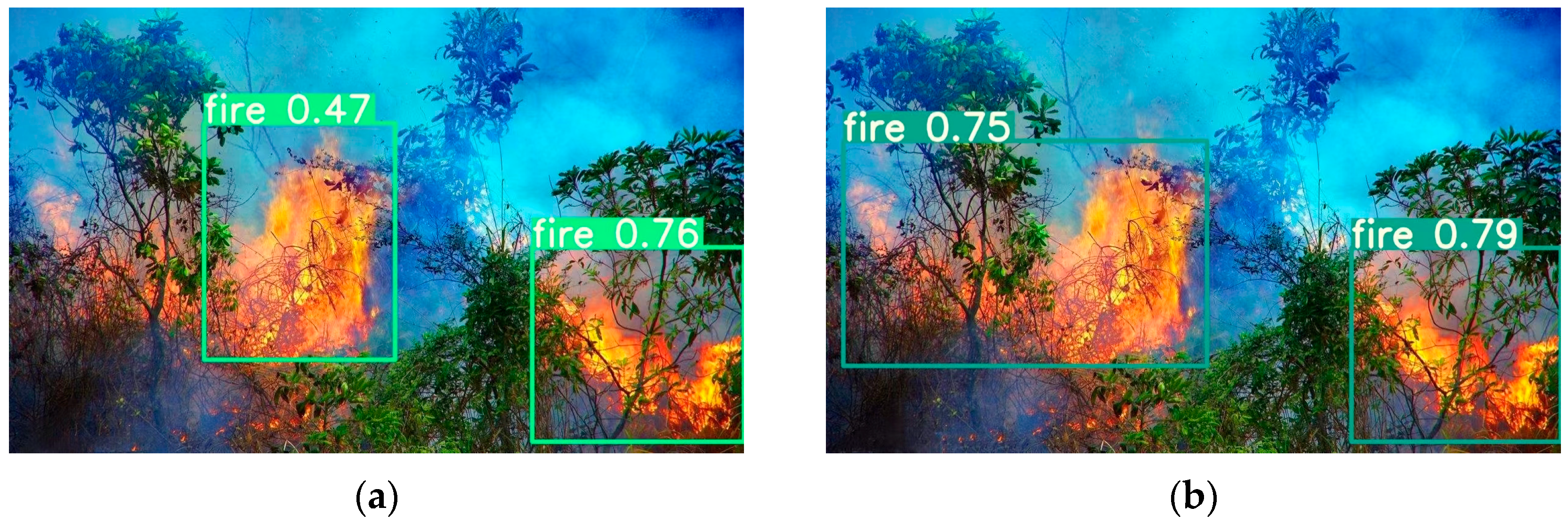 Forests 15 00204 g009 Forests 15 00204 g009