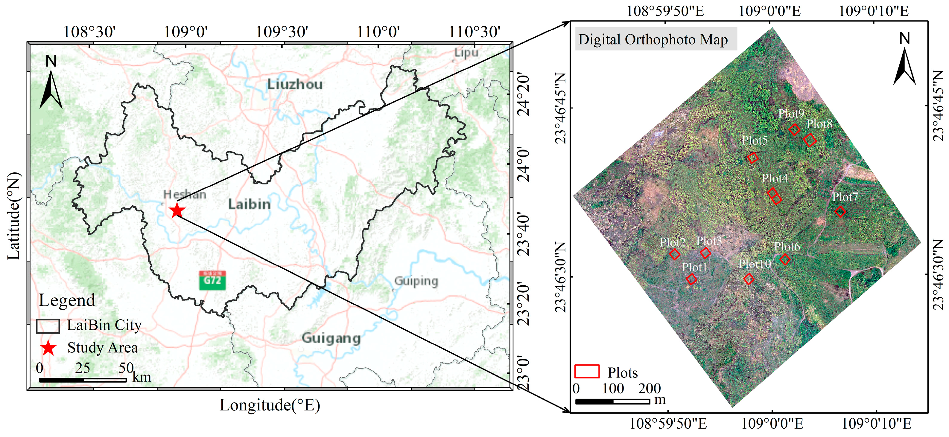 Forests 15 00209 g001