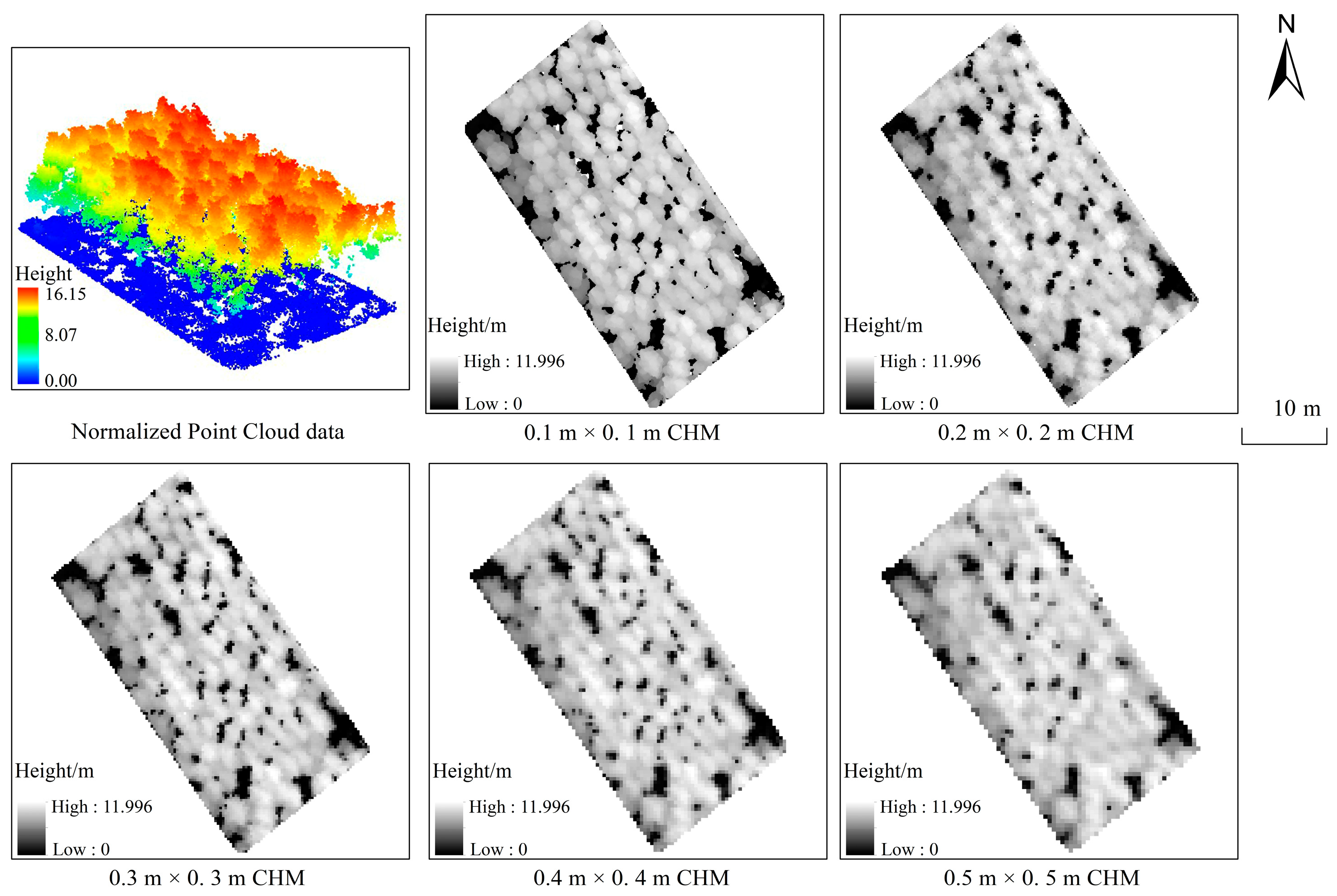 Forests 15 00209 g004