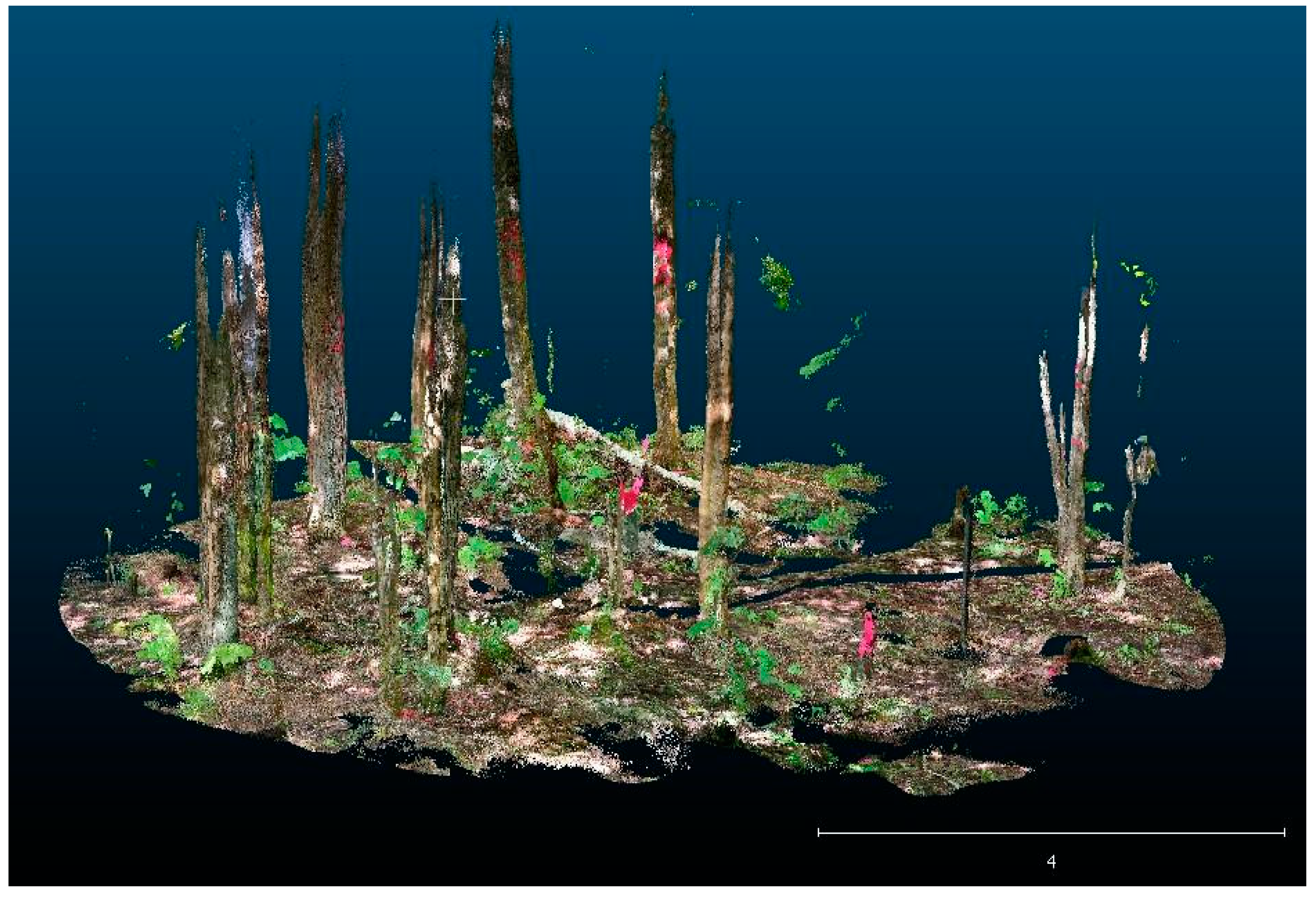 Forests 15 00214 g003