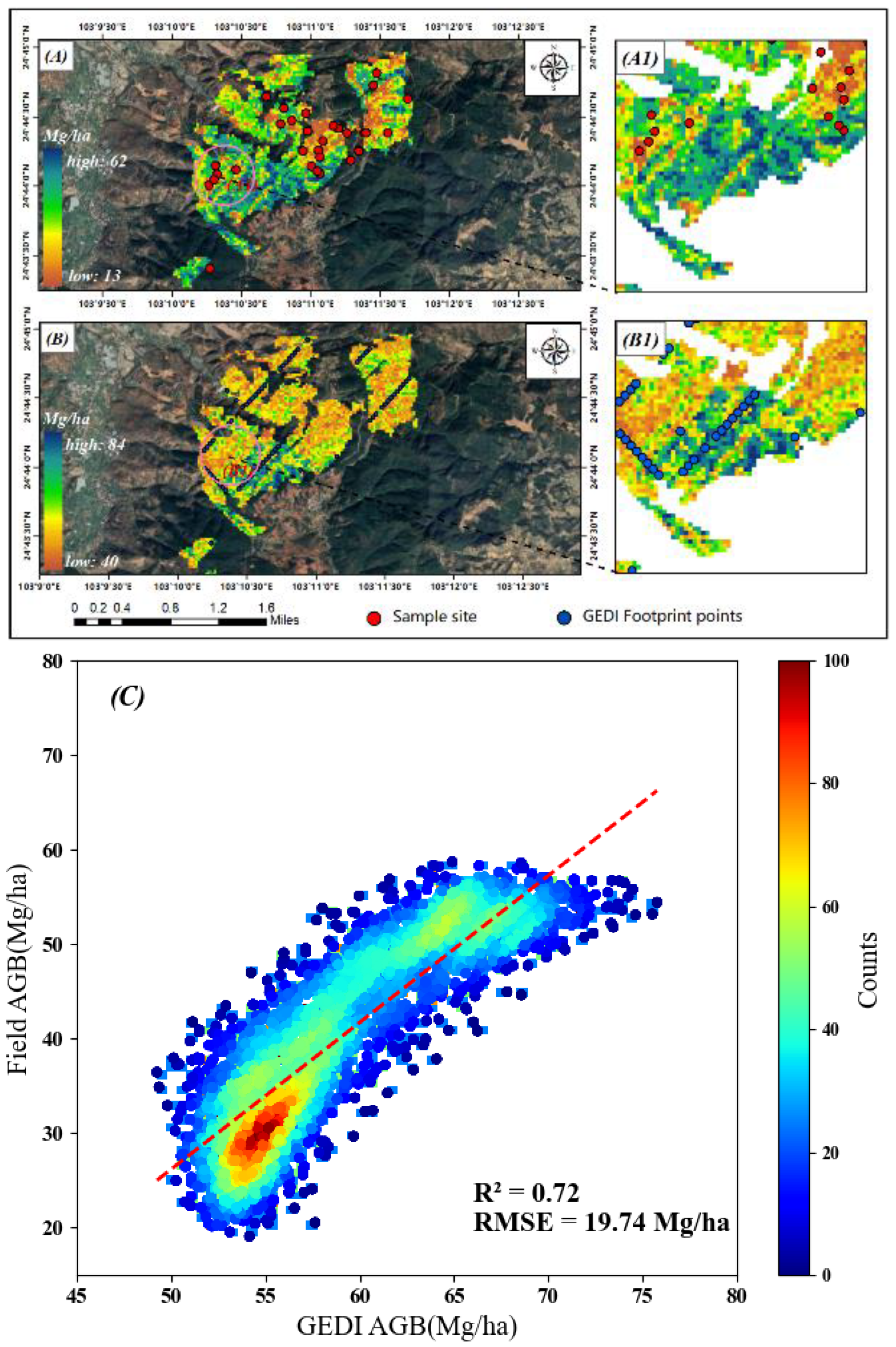 Forests 15 00215 g011