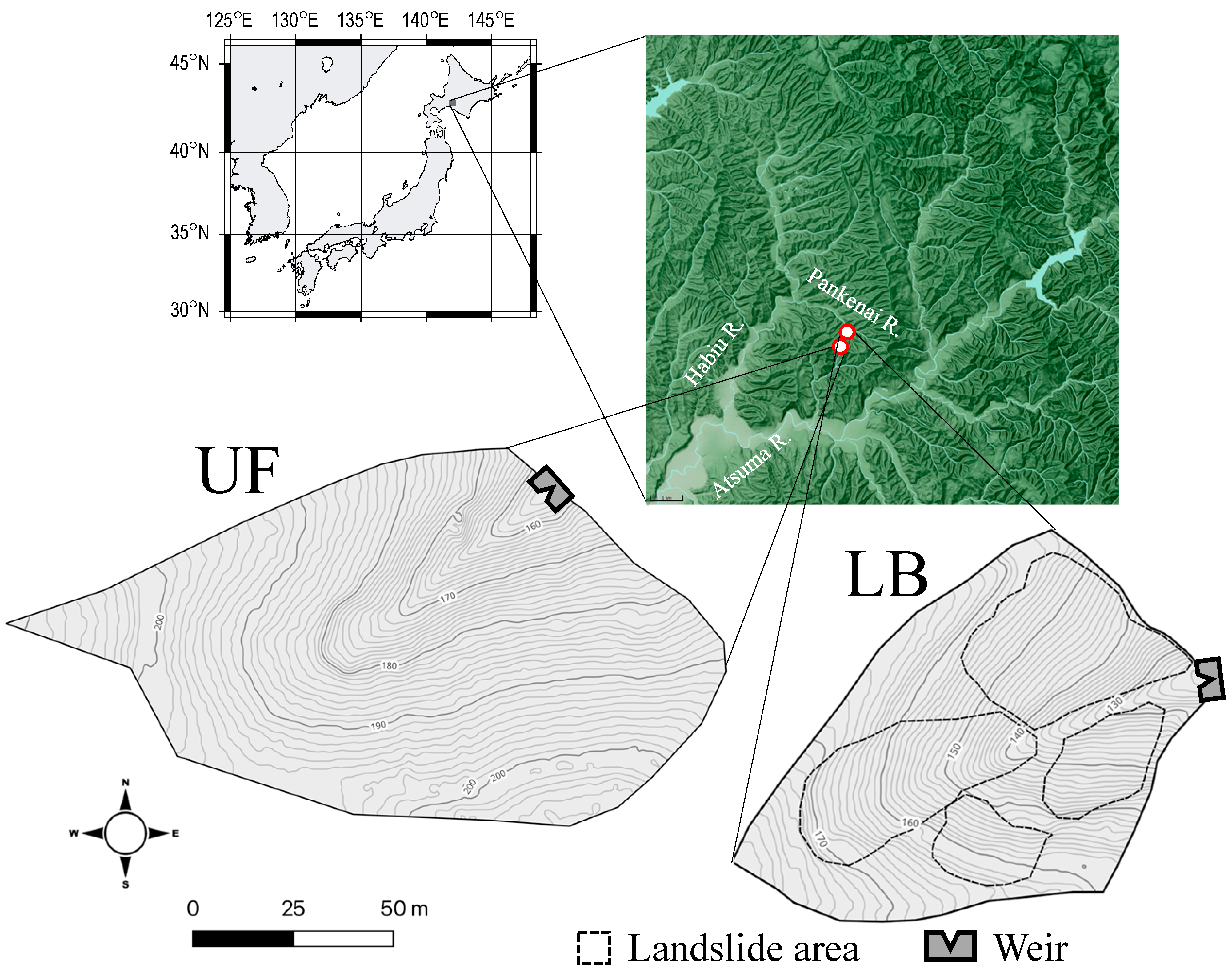 Forests 15 00229 g001