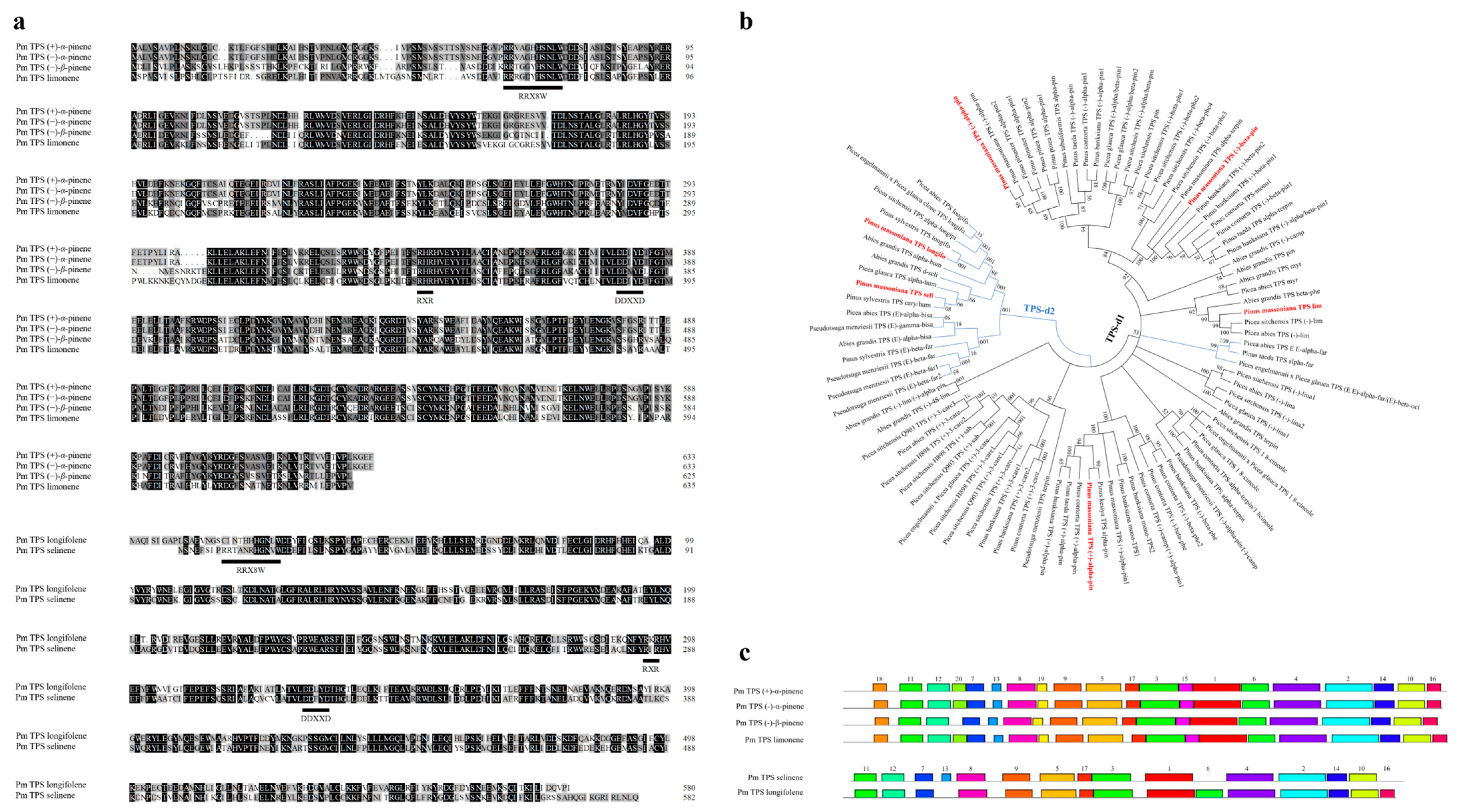 Forests 15 00244 g002