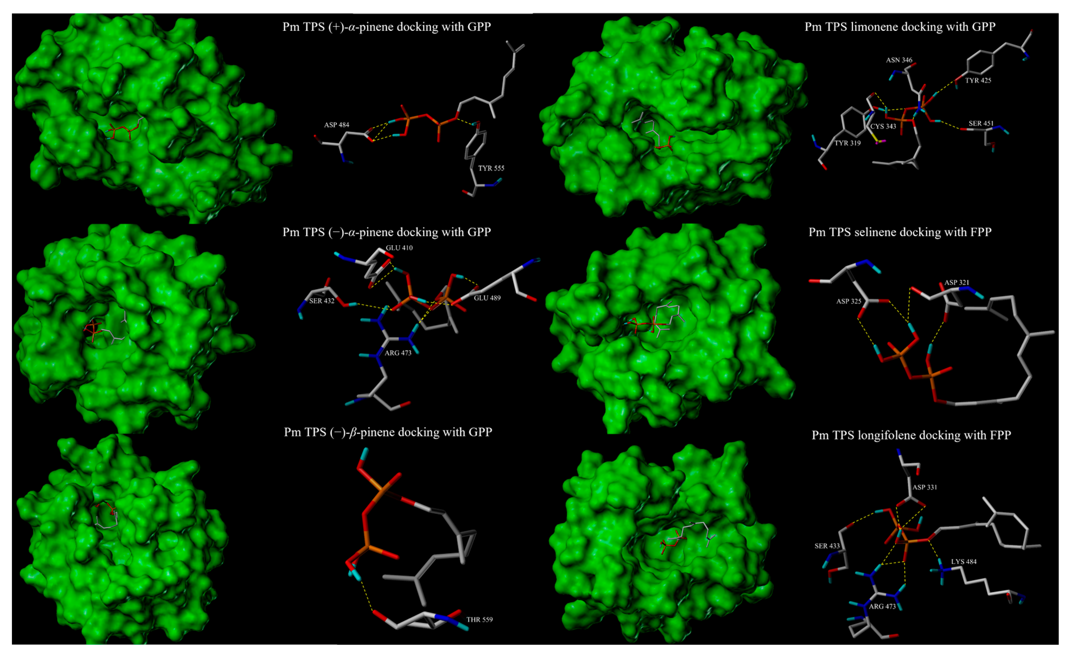 Forests 15 00244 g005