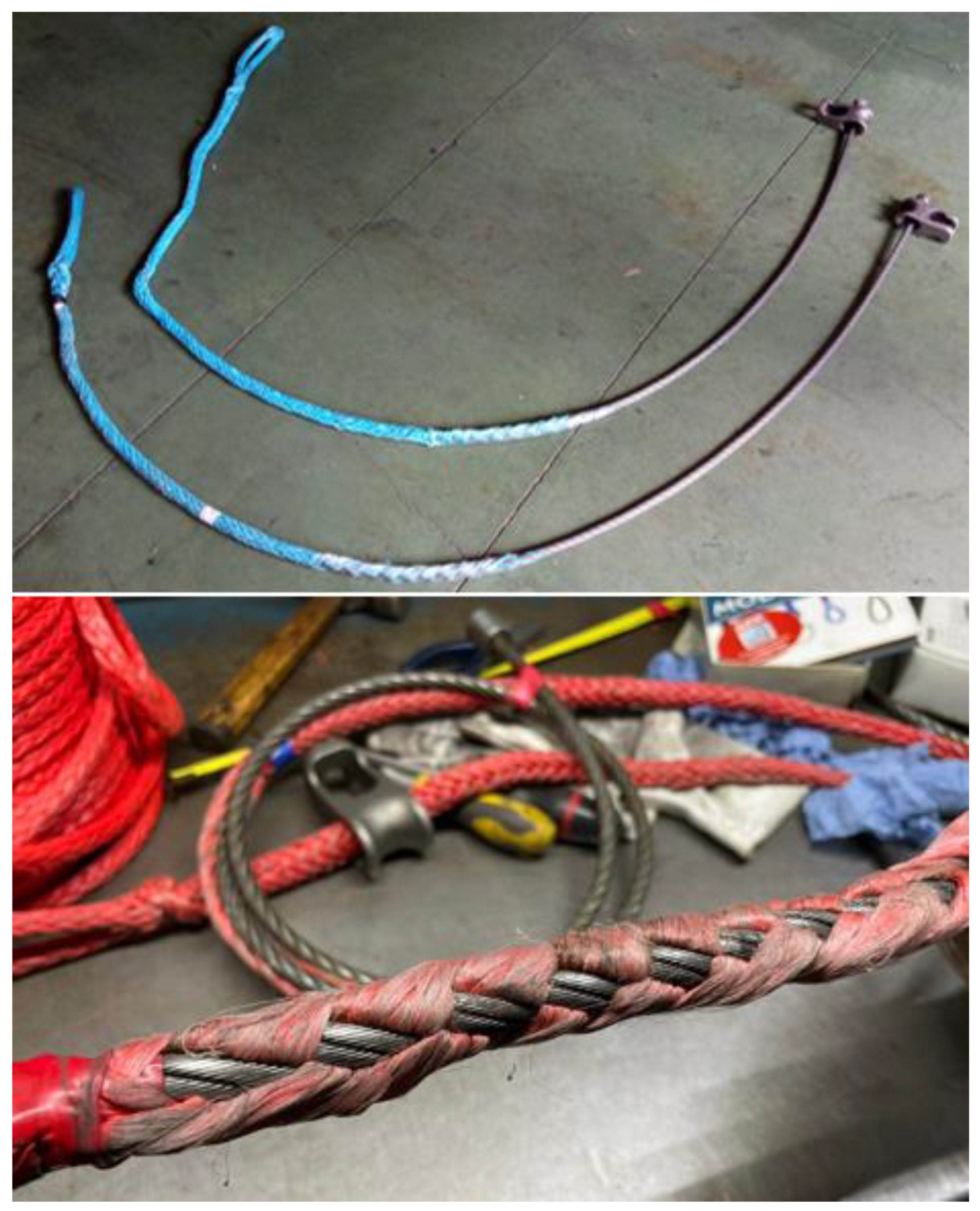 Forests 15 00246 g001