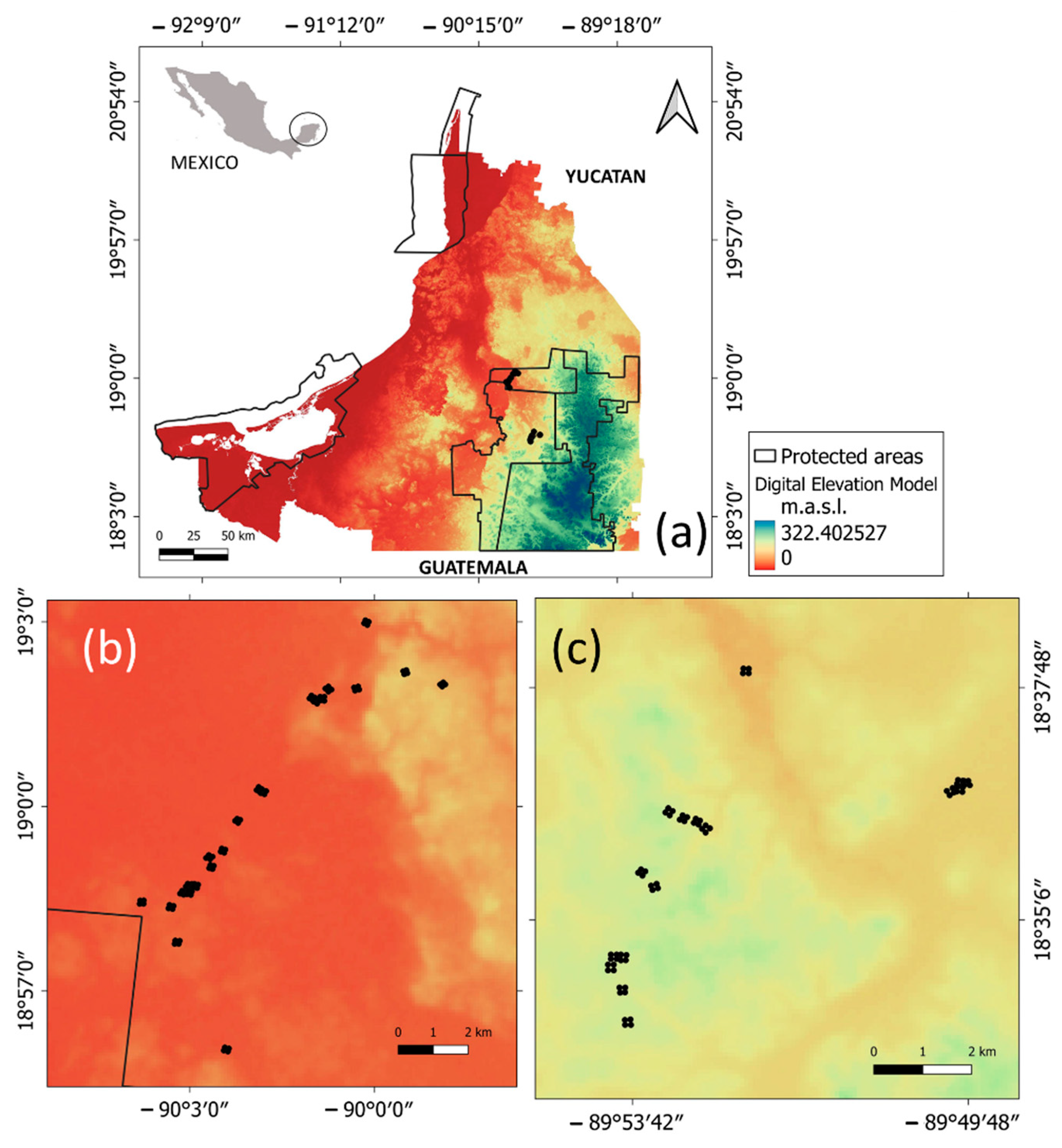Forests 15 00250 g001