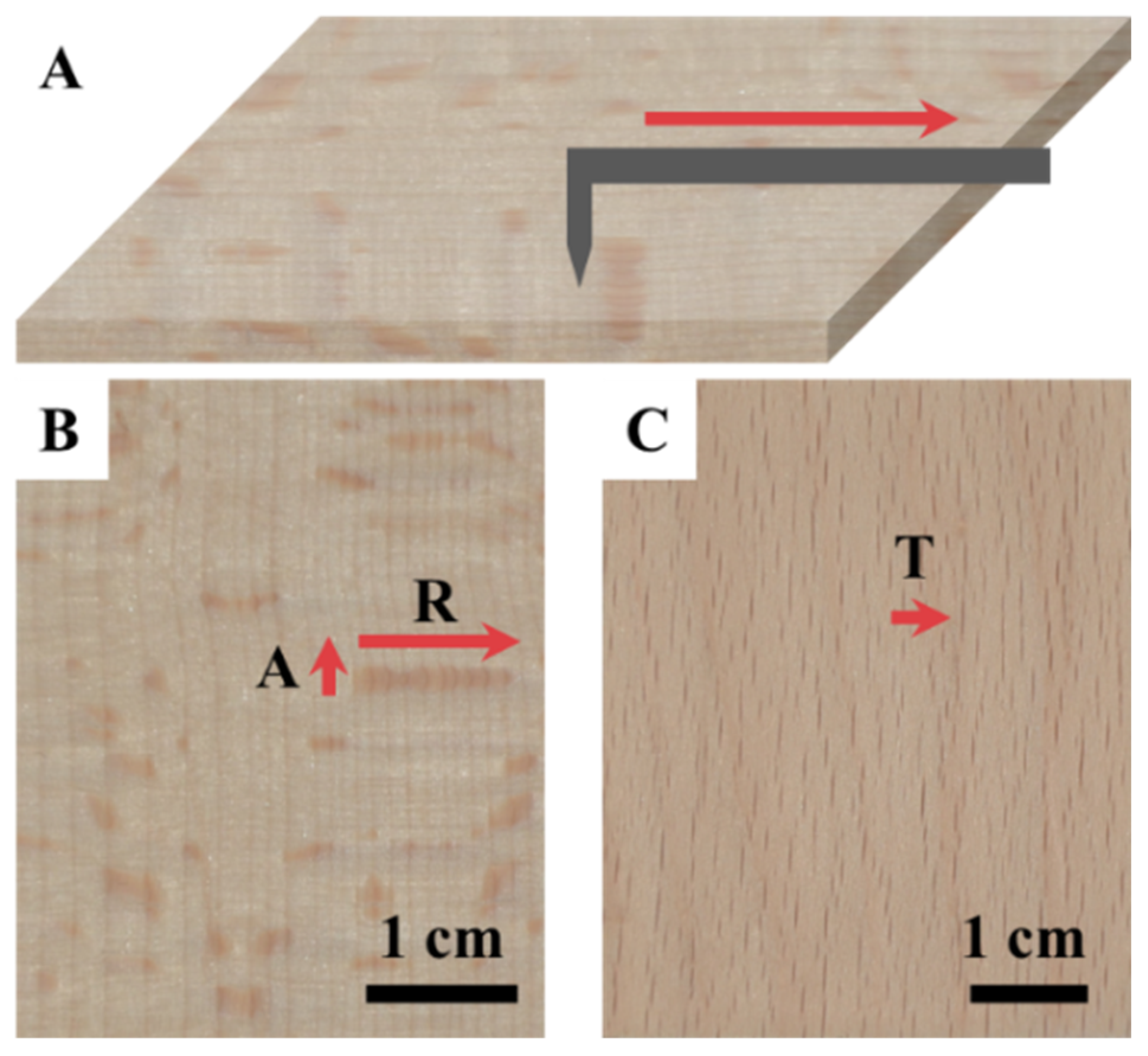Forests 15 00261 g001