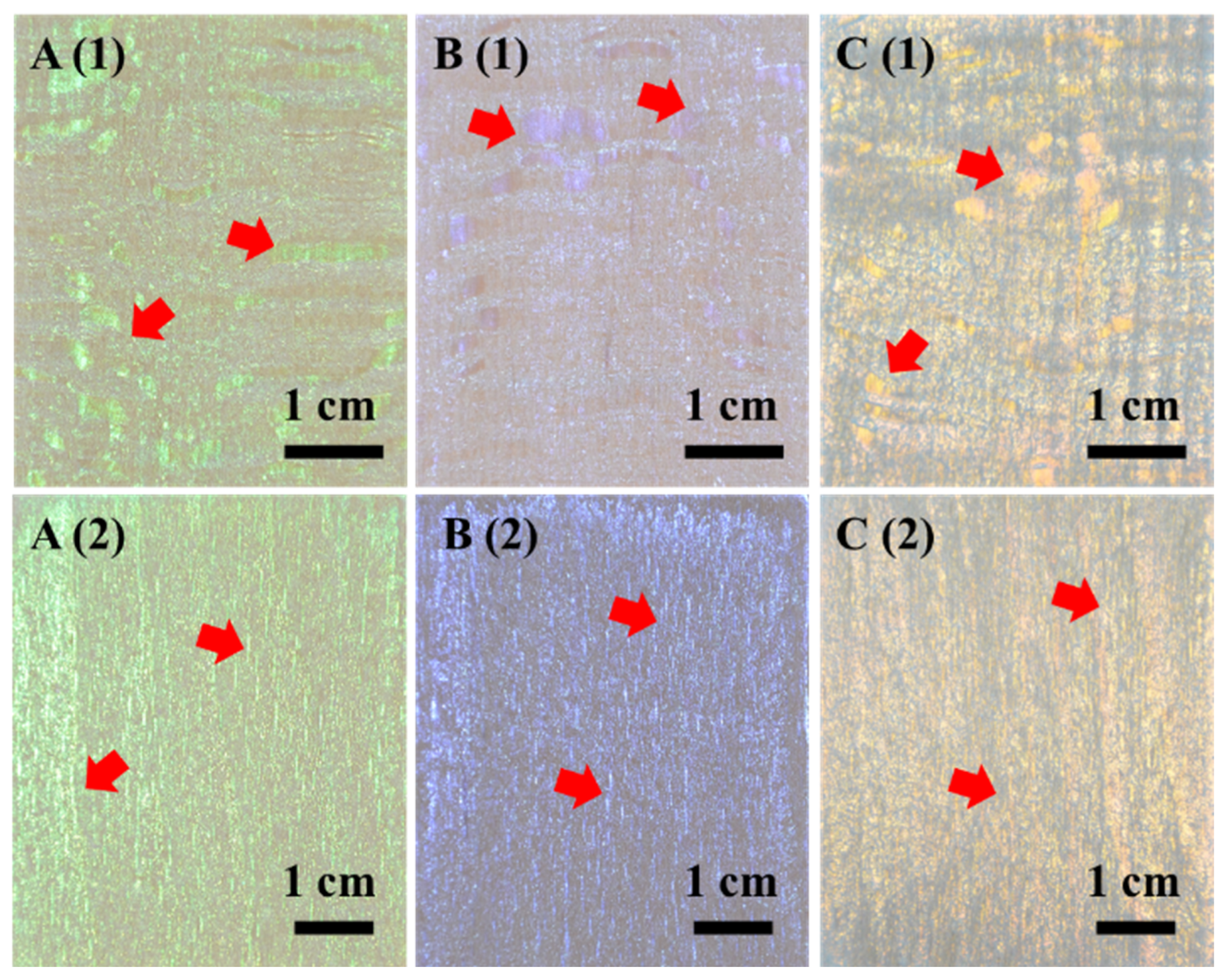 Forests 15 00261 g005