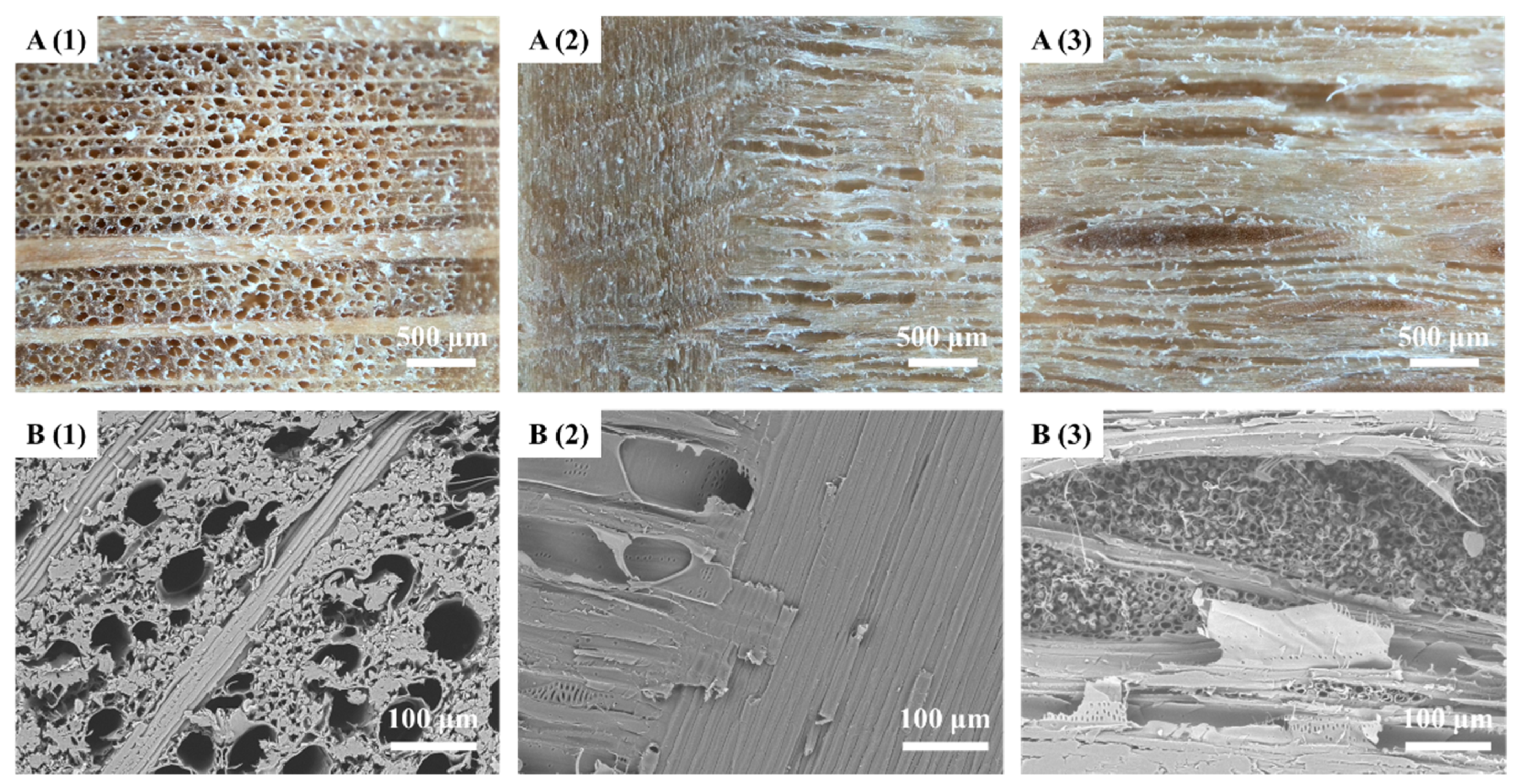 Forests 15 00261 g008