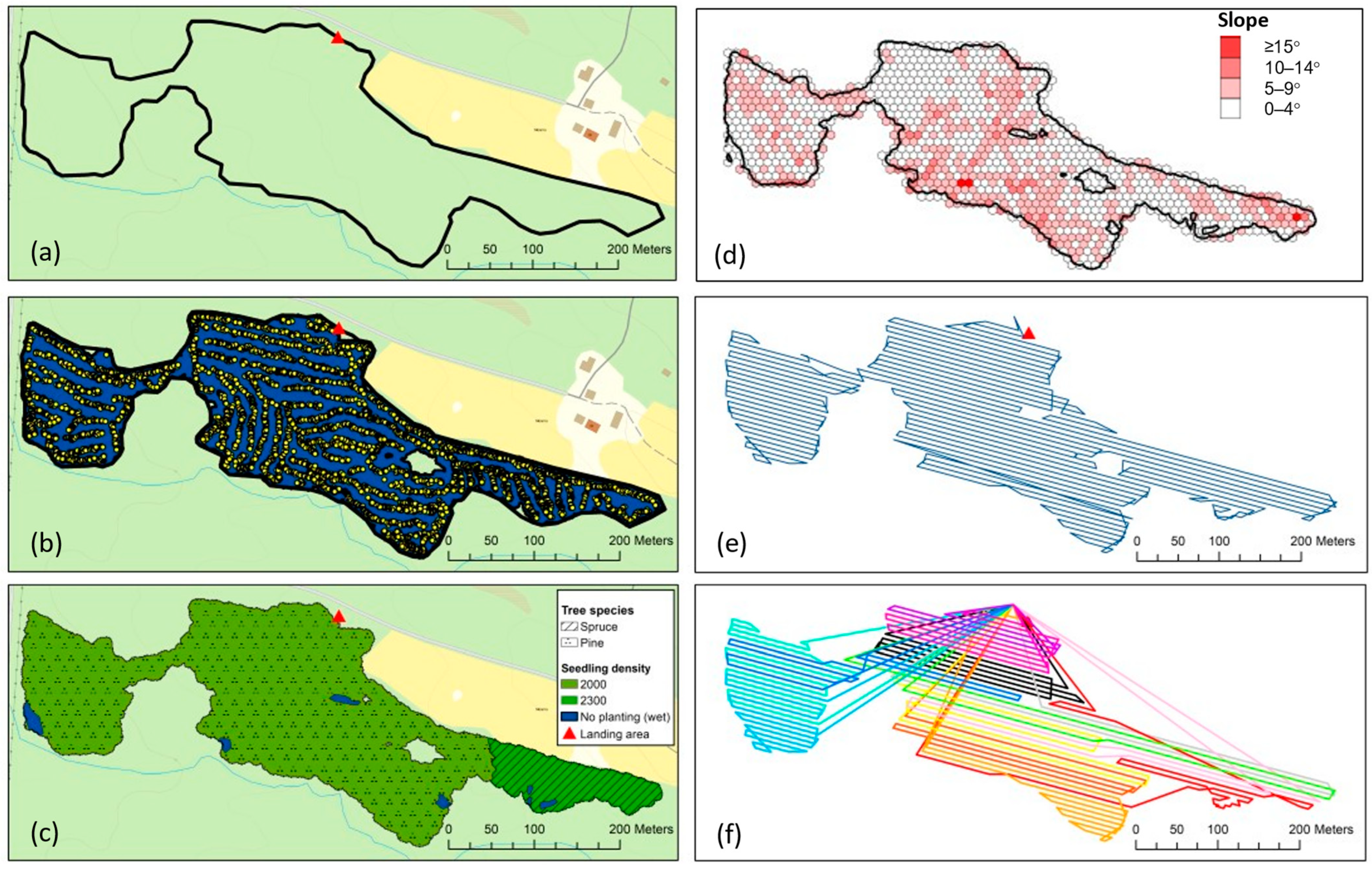 Forests 15 00263 g002