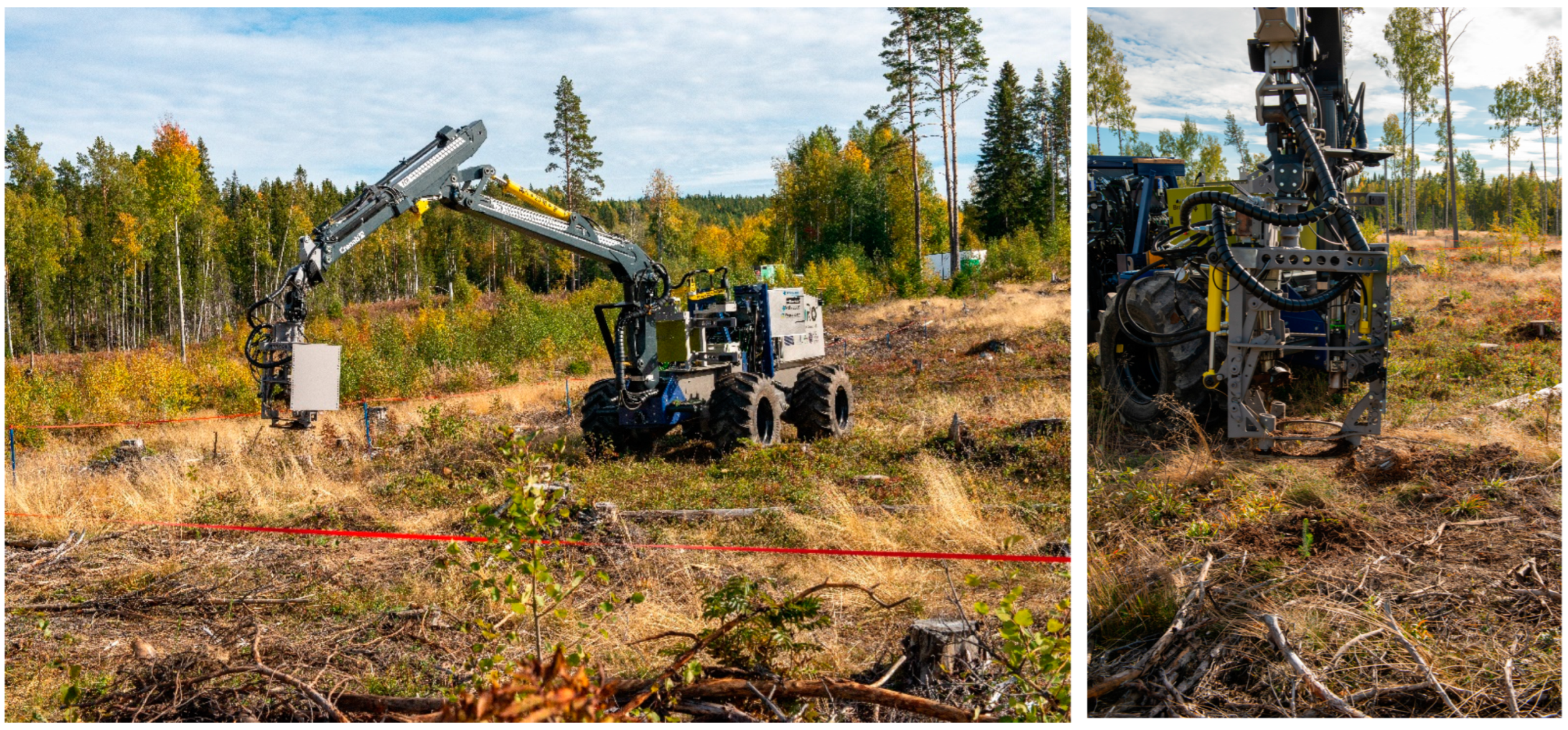 Forests 15 00263 g009