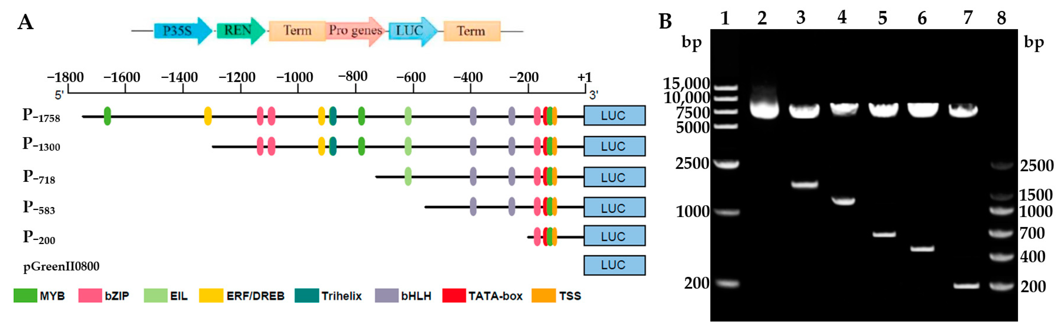 Forests 15 00276 g002