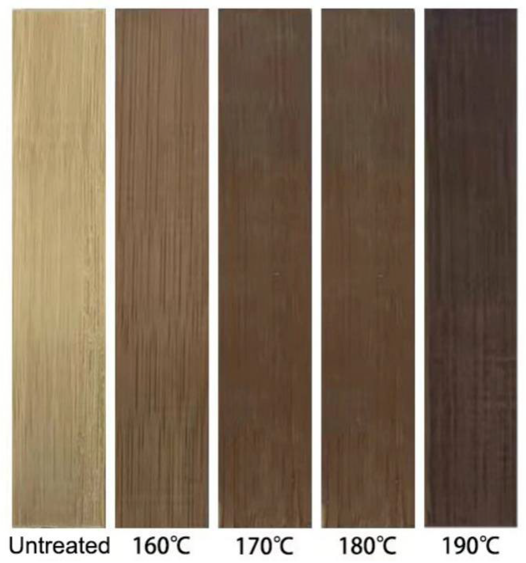 Forests 15 00281 g001