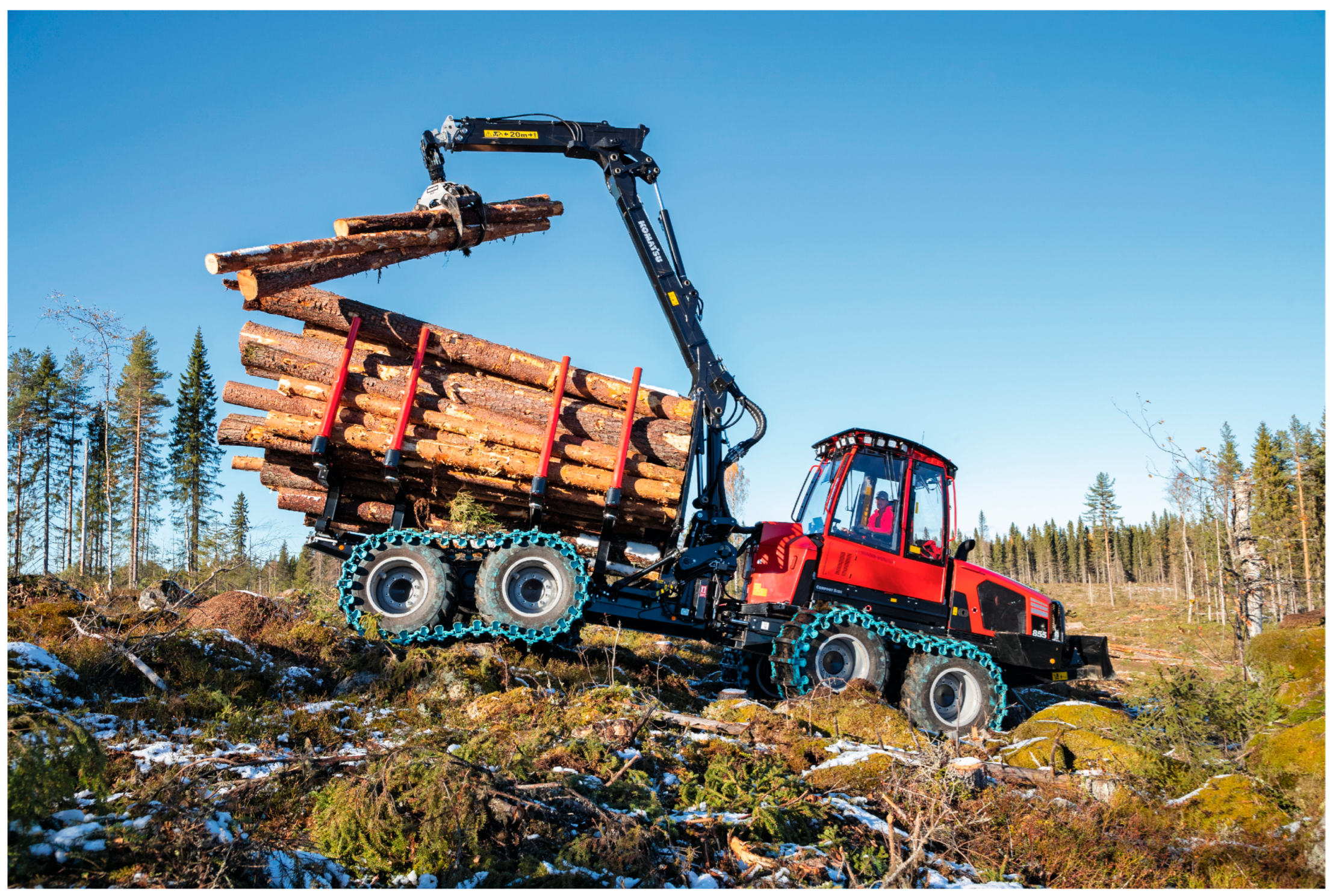 Forests 15 00284 g001