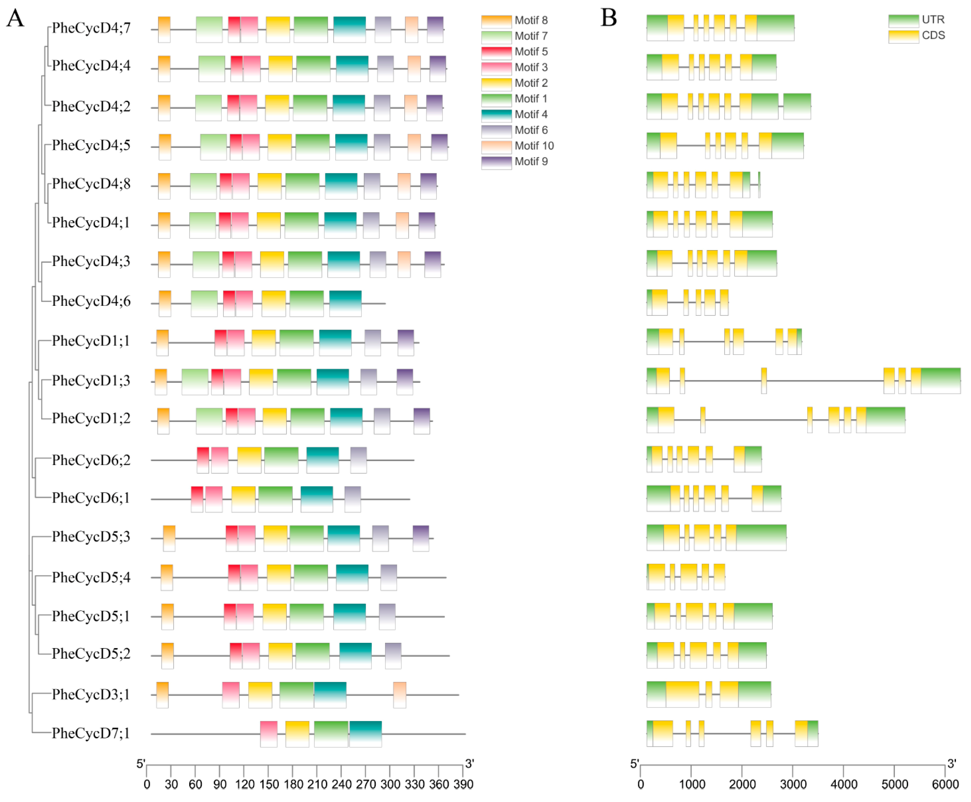 Forests 15 00289 g002