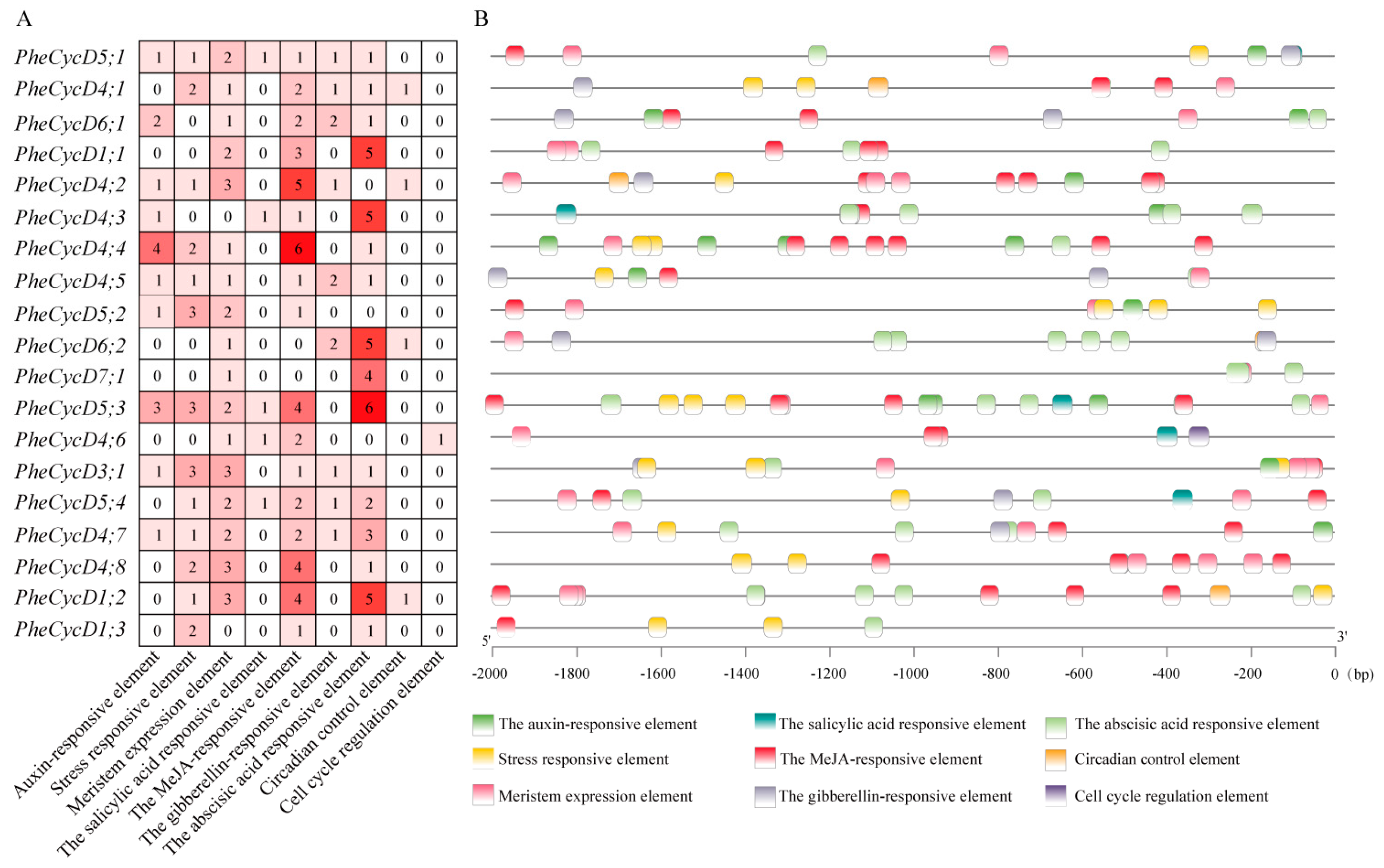 Forests 15 00289 g004