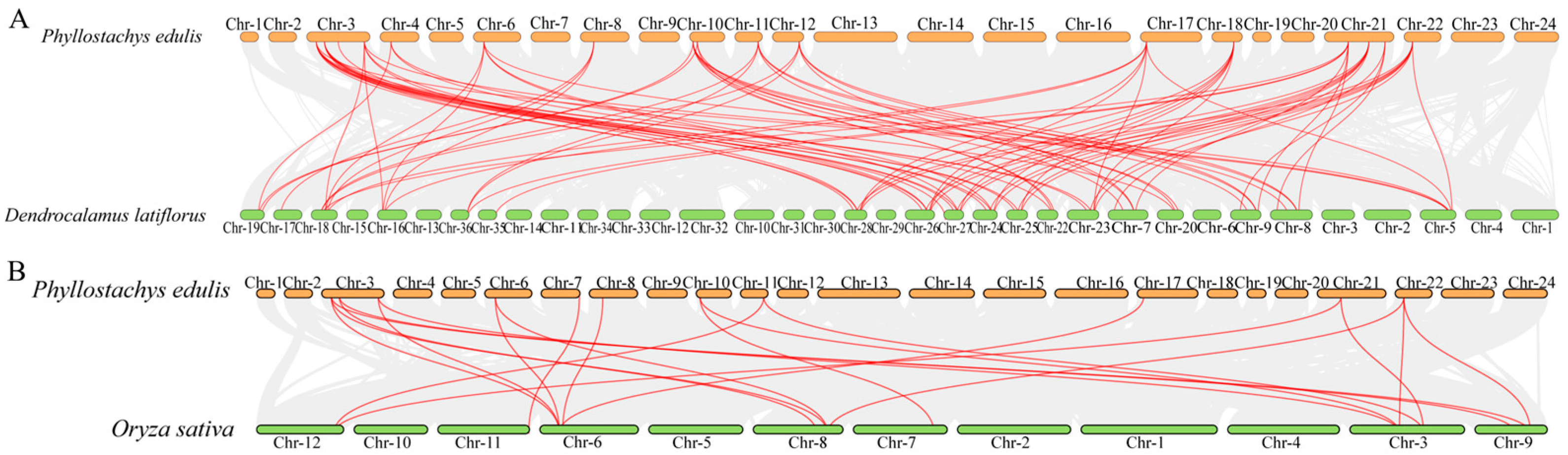 Forests 15 00289 g006