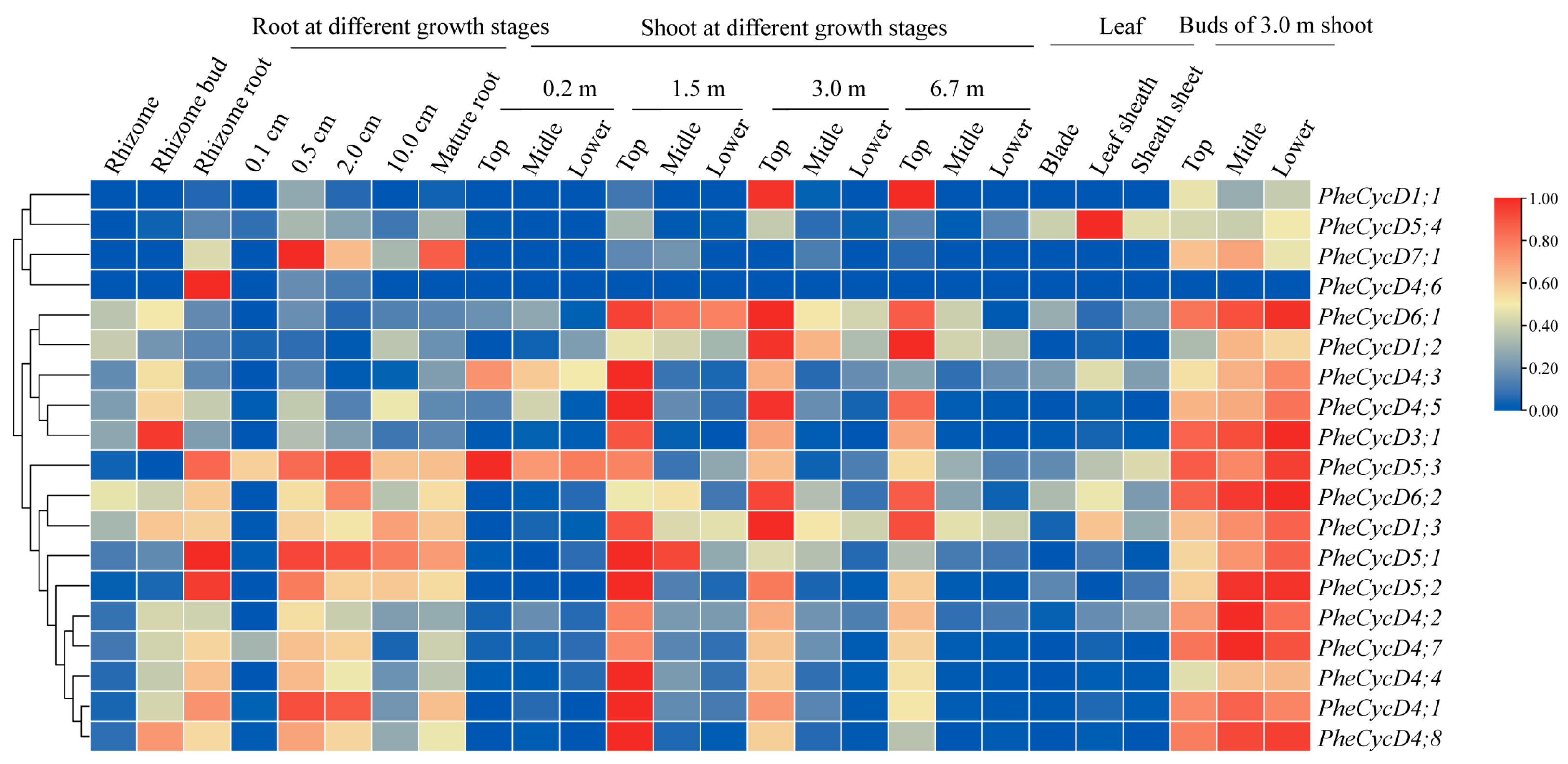 Forests 15 00289 g007